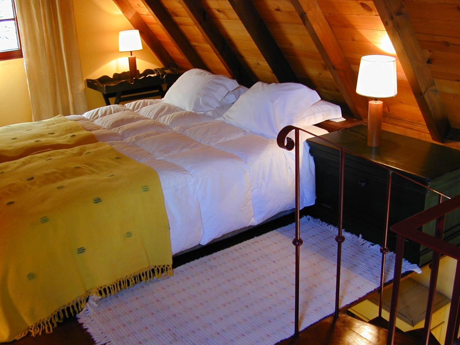 Duplex Villa - Photo 1