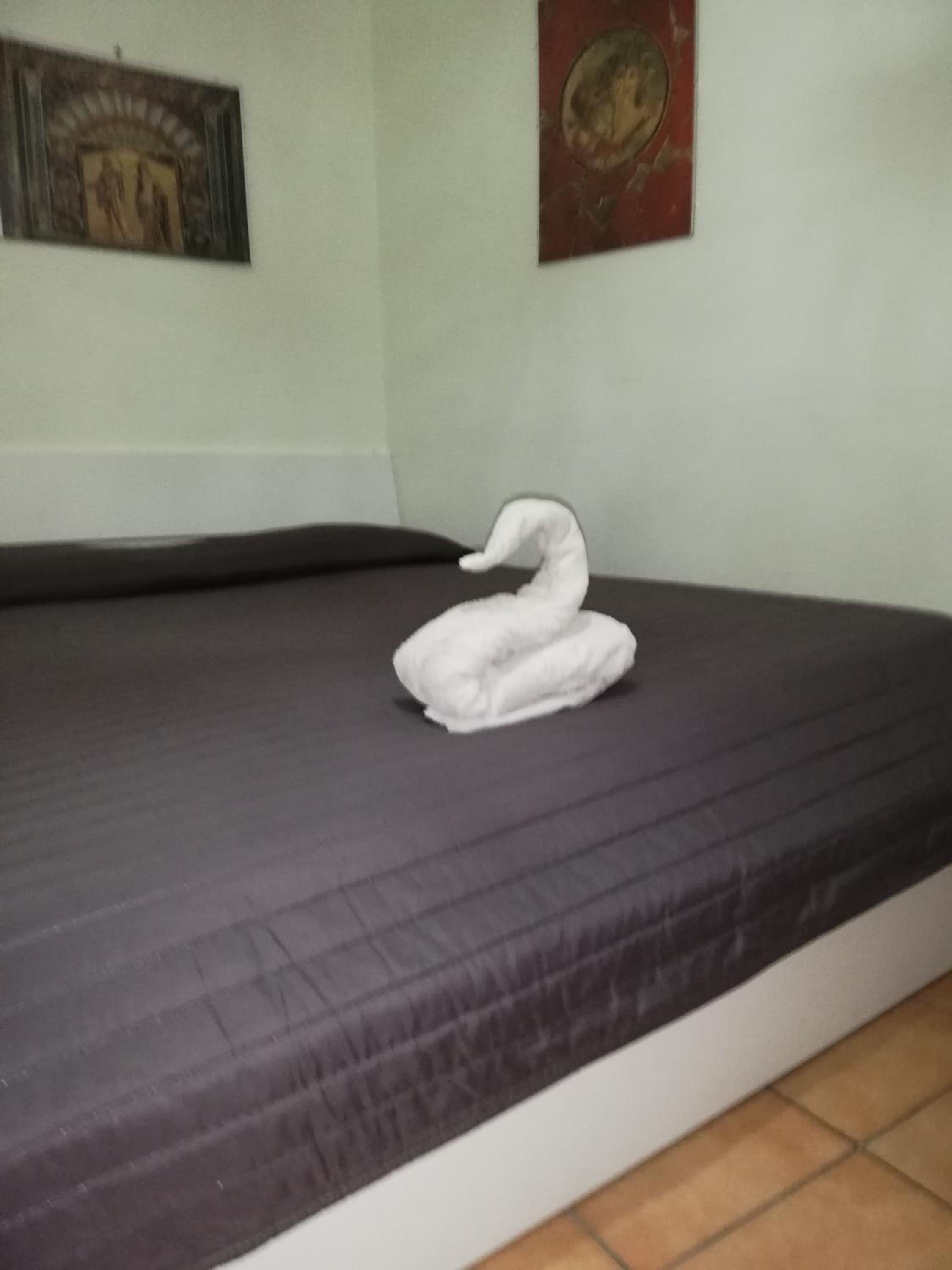 Deluxe Room photo 1