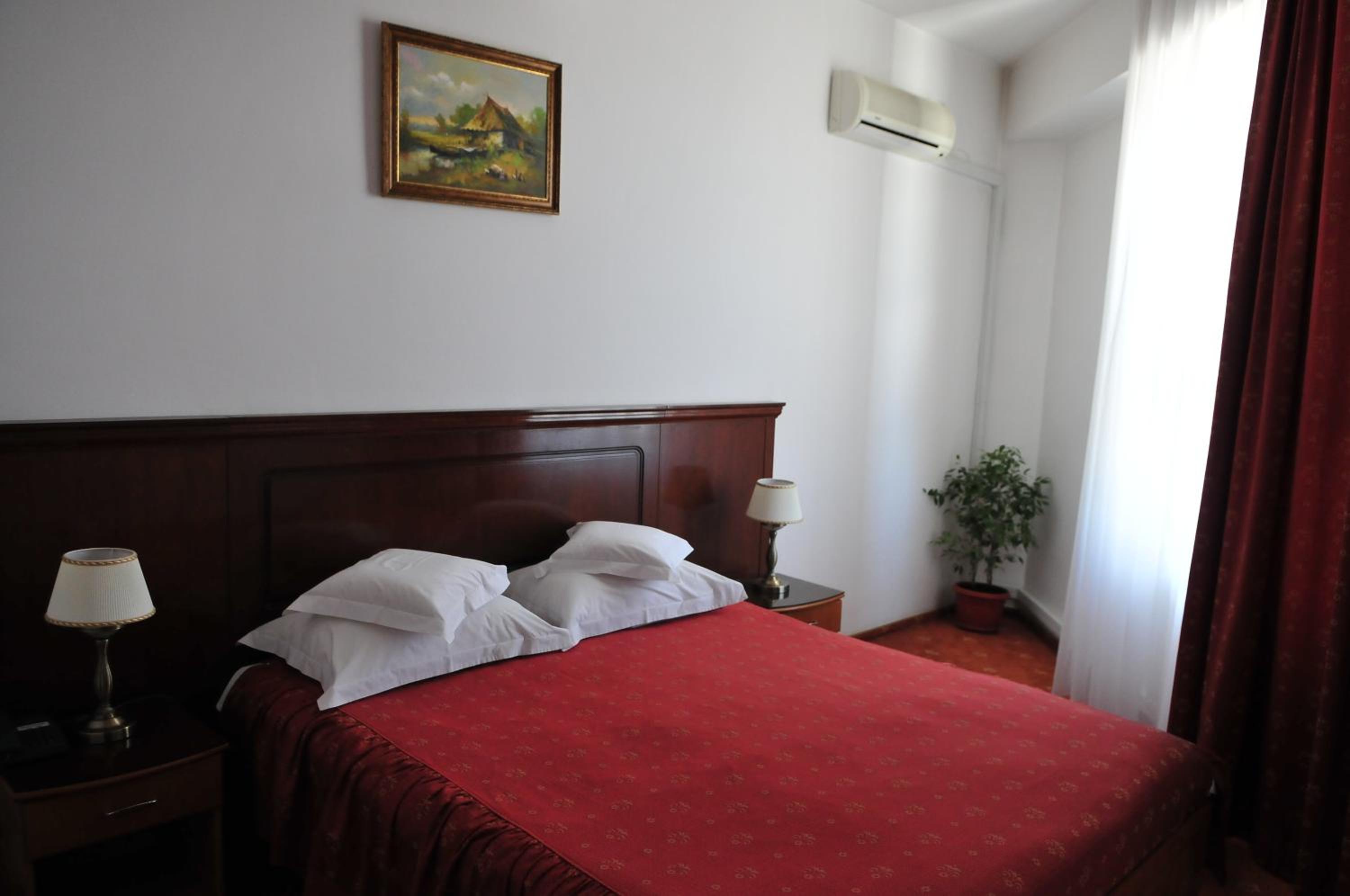 Suite - Photo 1