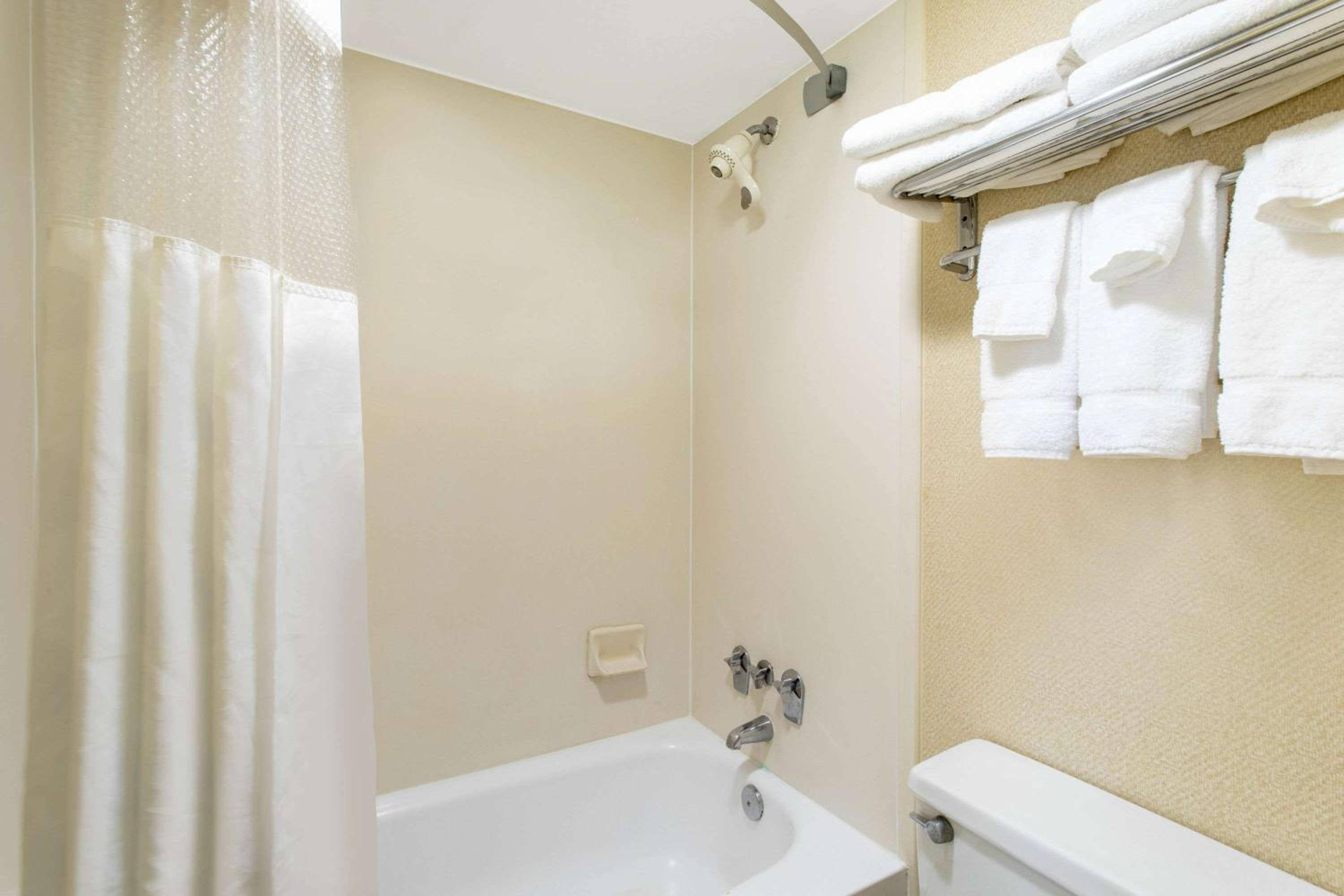 King Suite - Photo 4