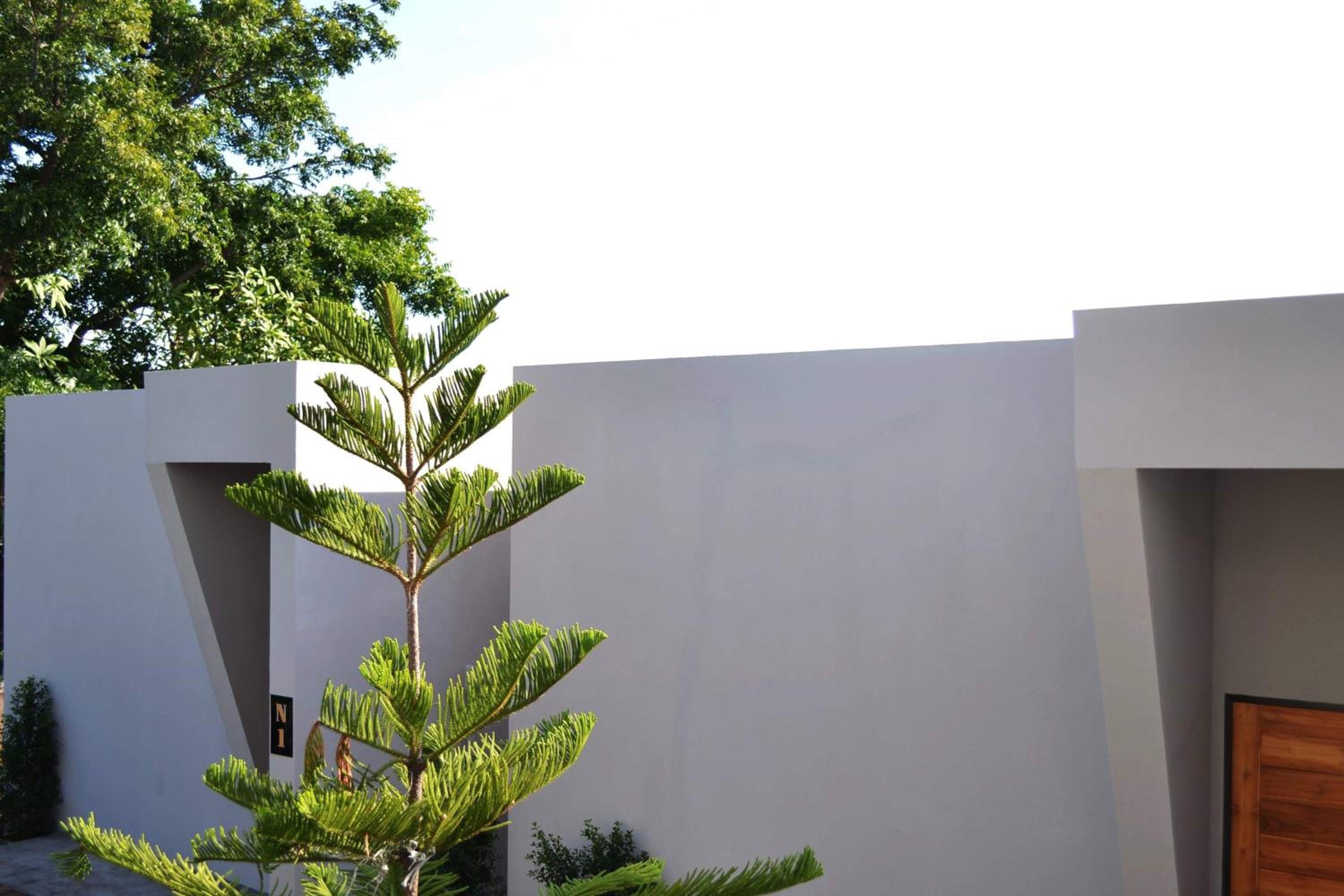 Deluxe Double Room with Garden View photo 3