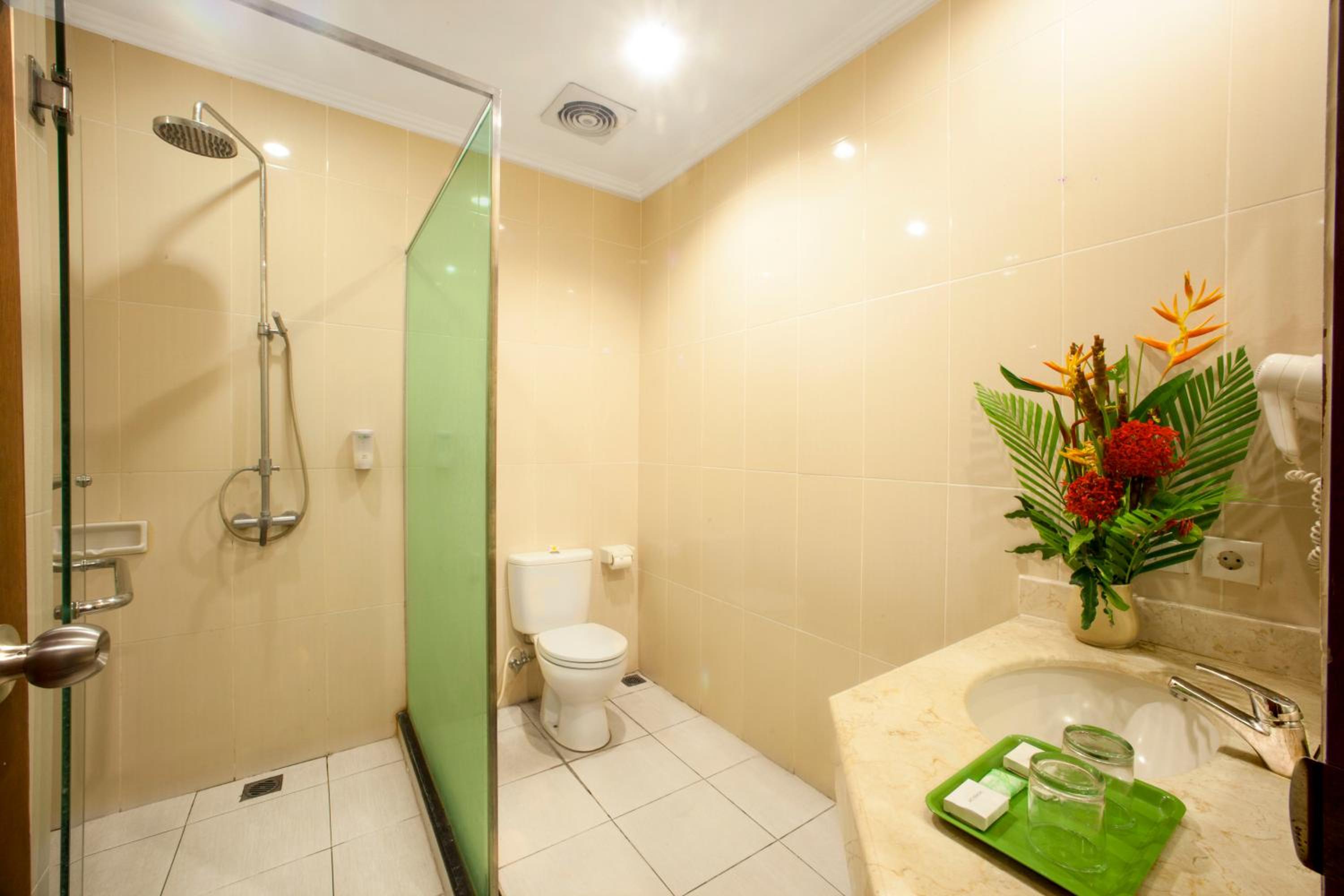 Deluxe Double or Twin Room photo 2
