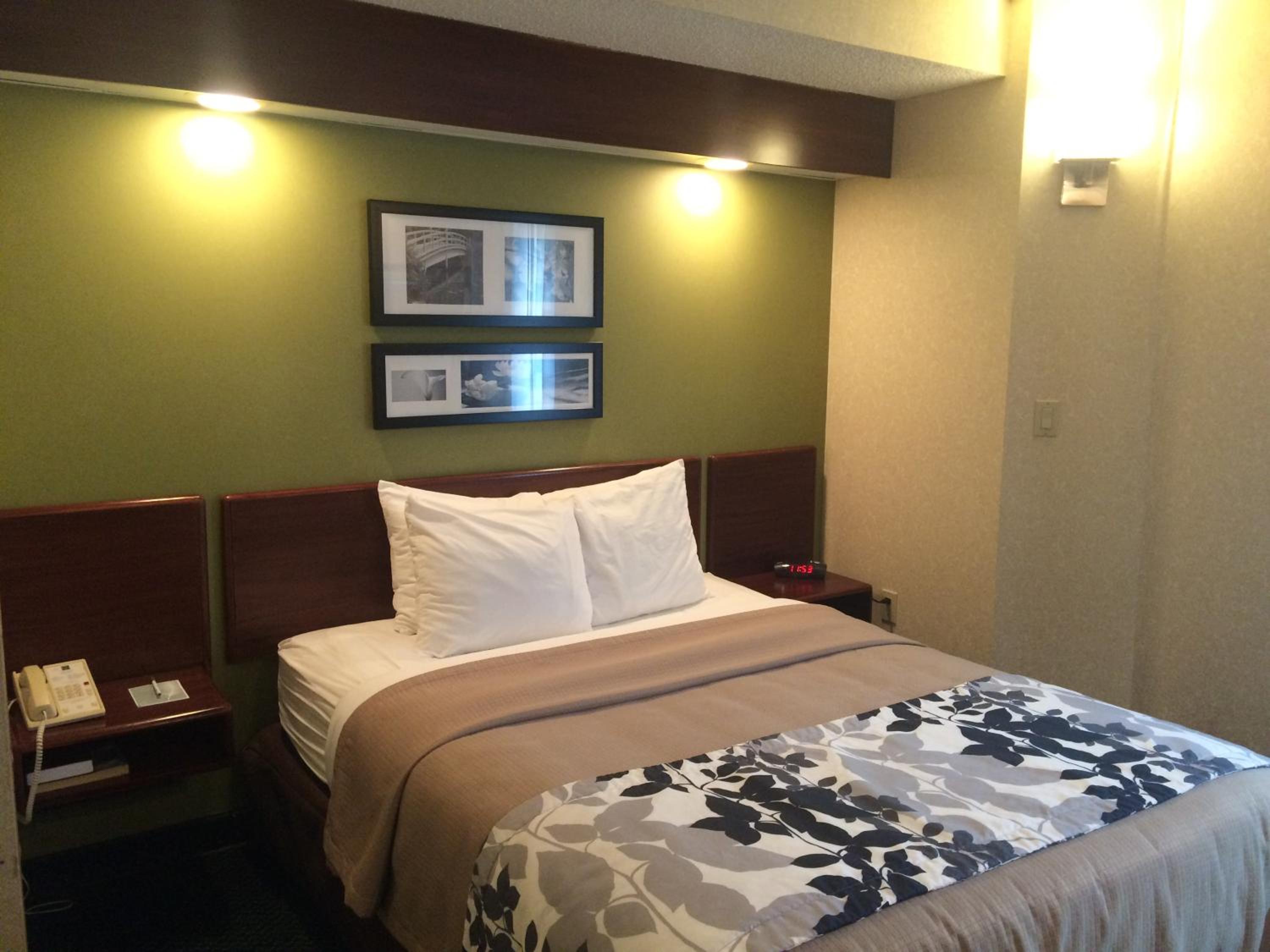 Deluxe Queen Room - Mobility Access/Non-Smoking - Photo 4