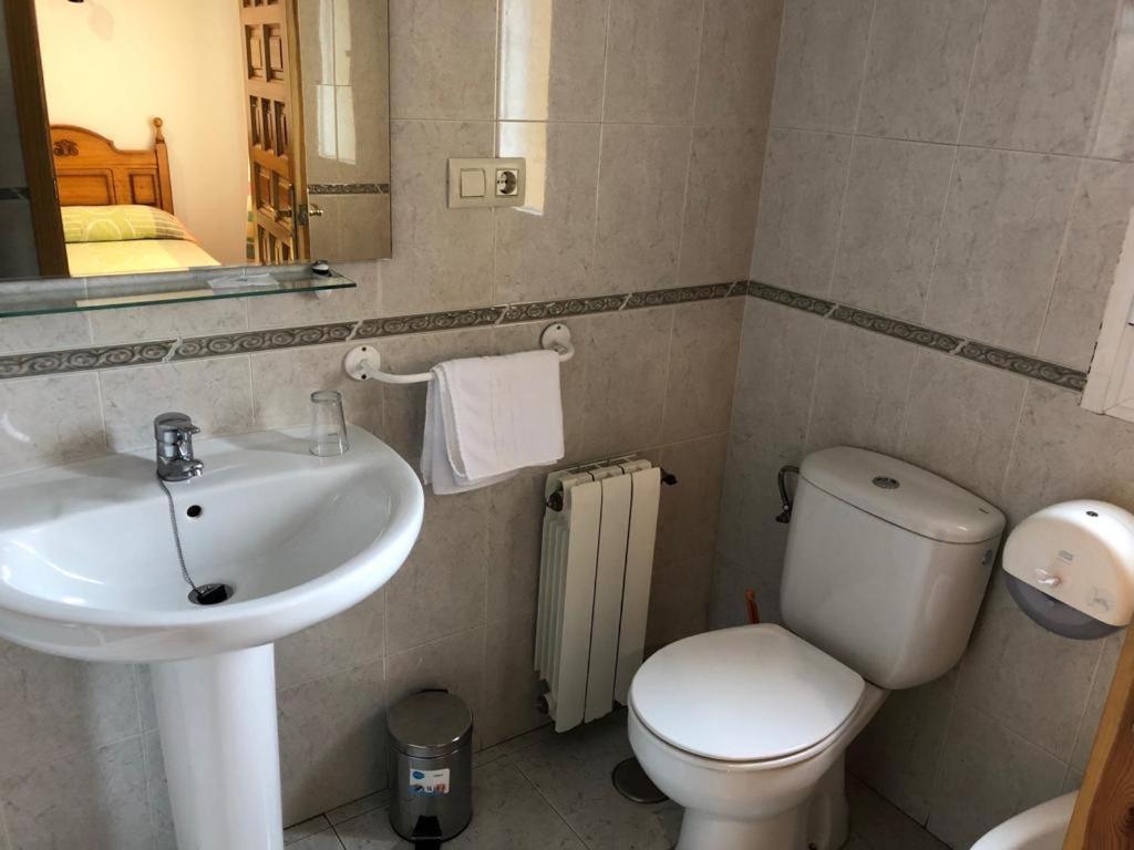 Single Room photo 3