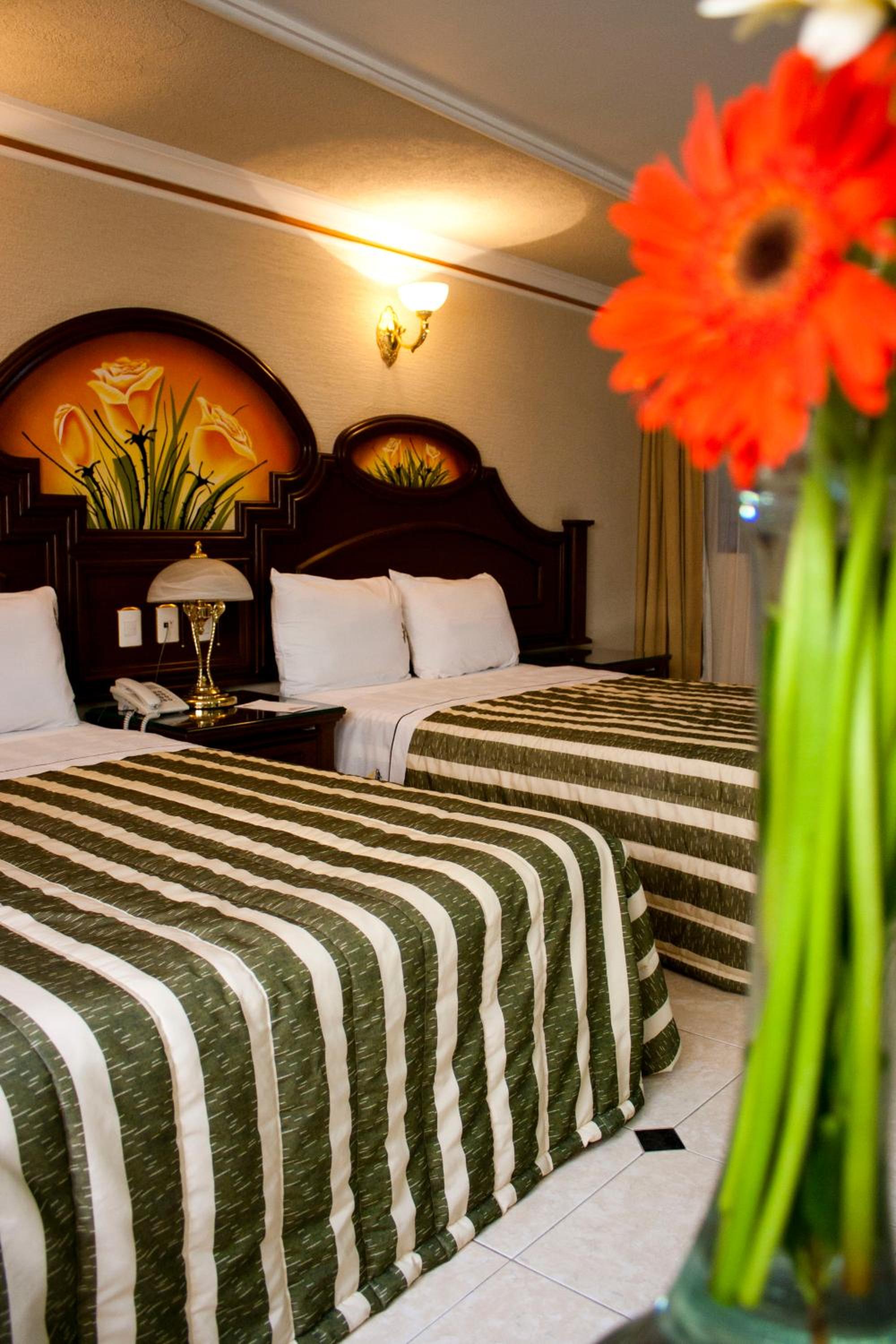 Executive Double Room - Photo 2