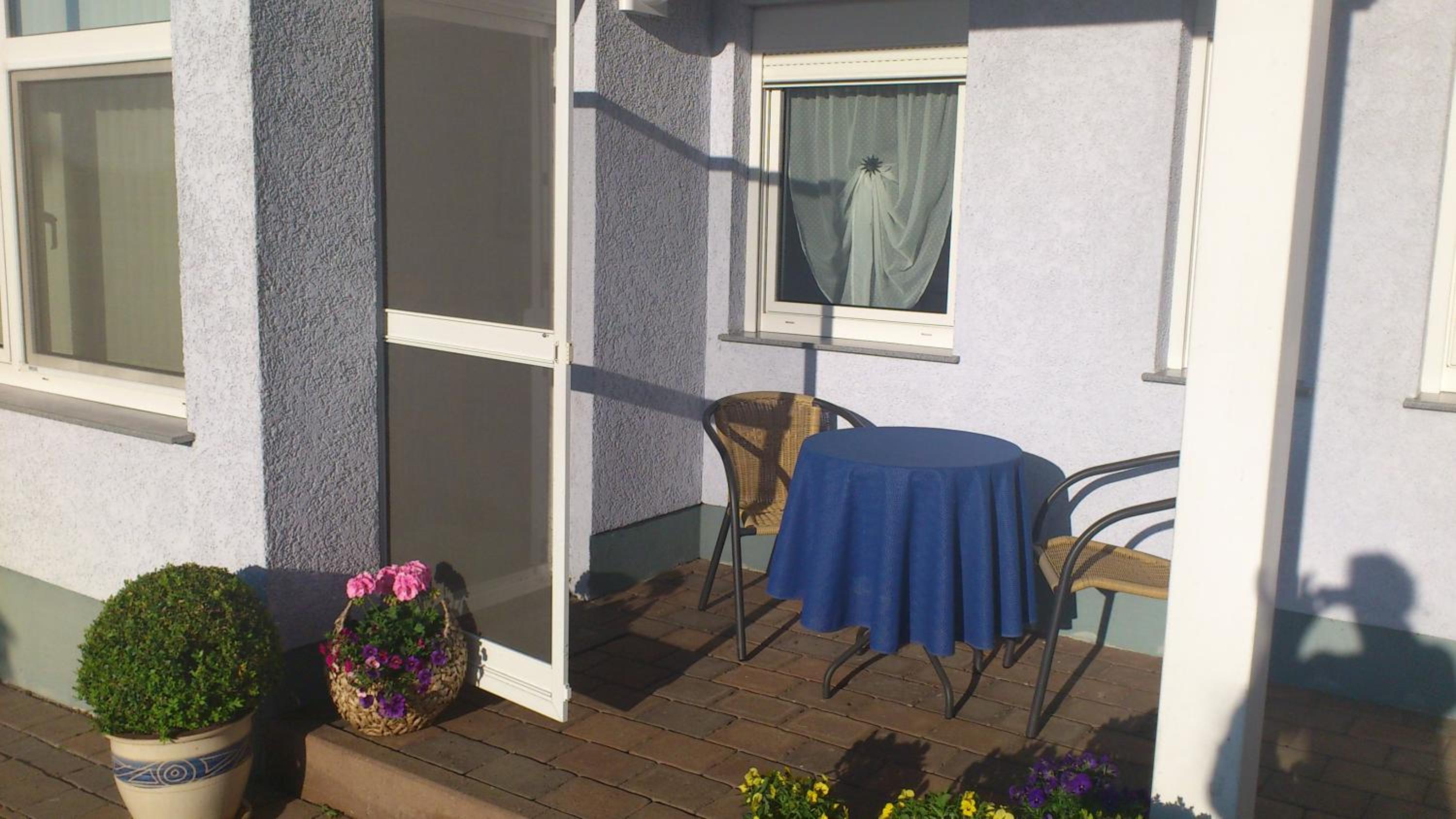 Studio with Terrace photo 2