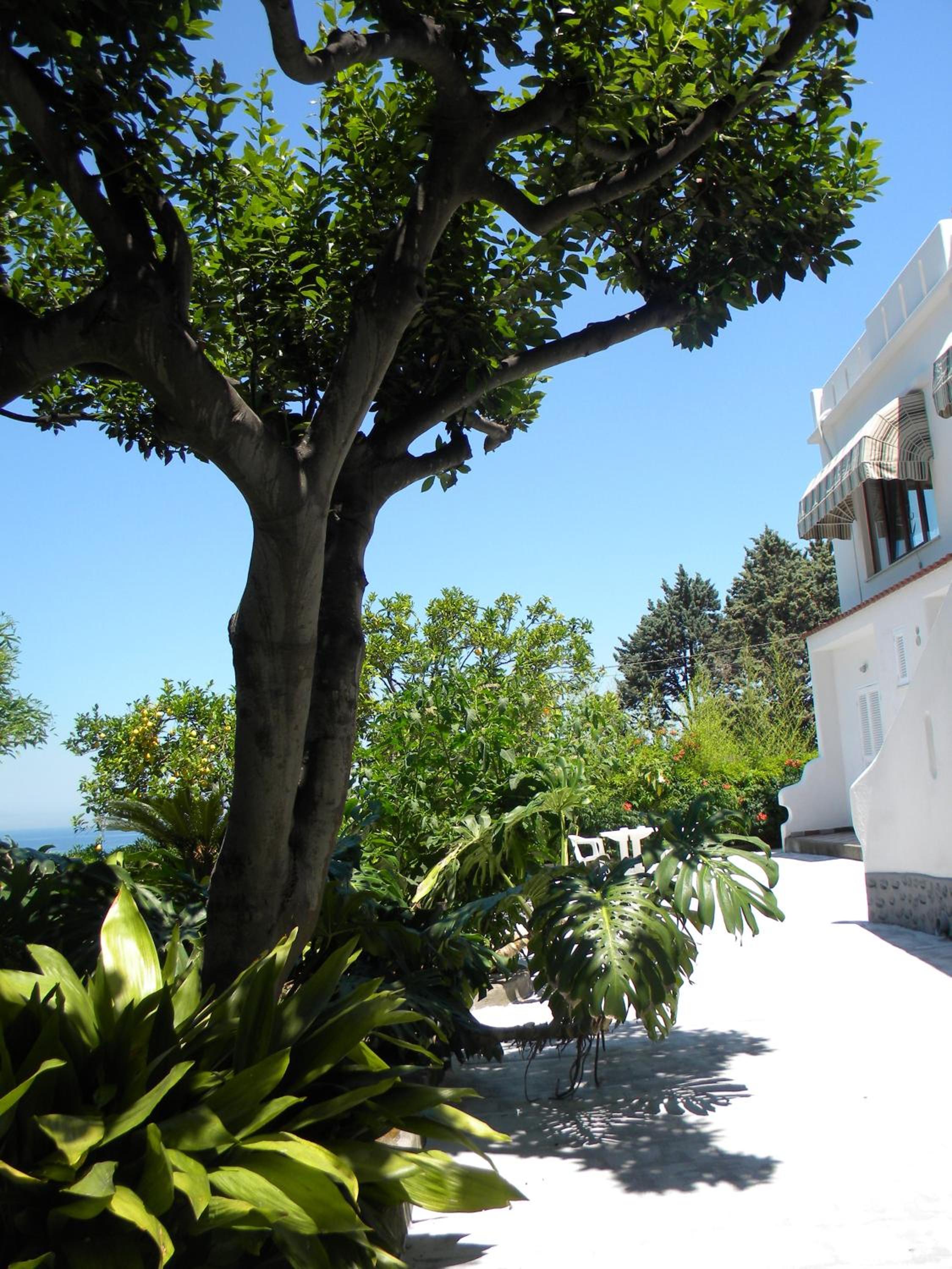 Double Room with Balcony - Photo 5