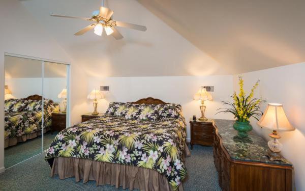 Superior King Suite