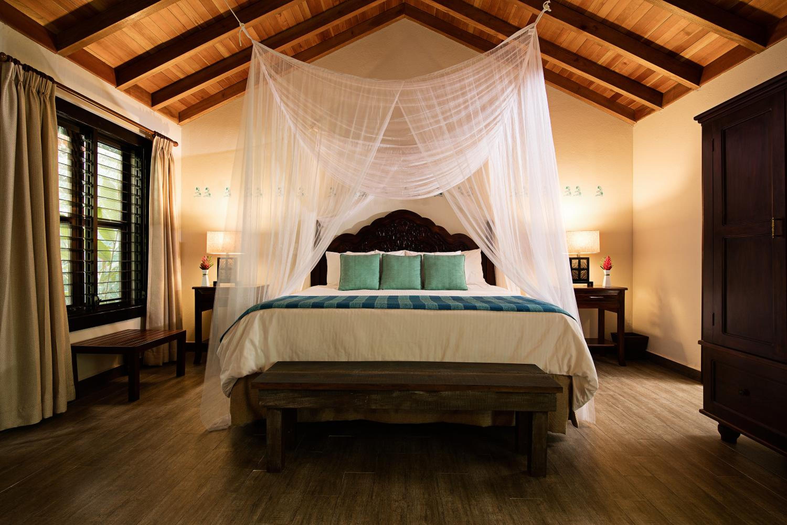 Suite with Jungle View