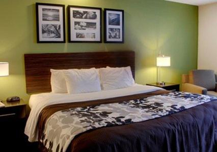 King Room - Non-Smoking - Photo 4