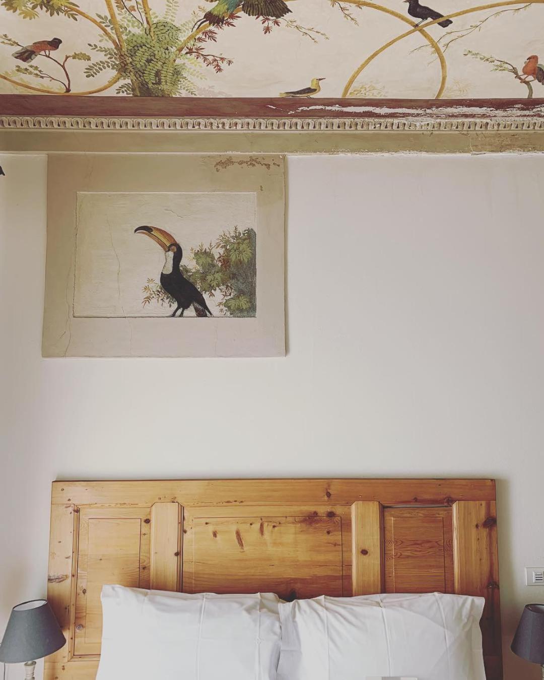 Comfort Double Room photo 1