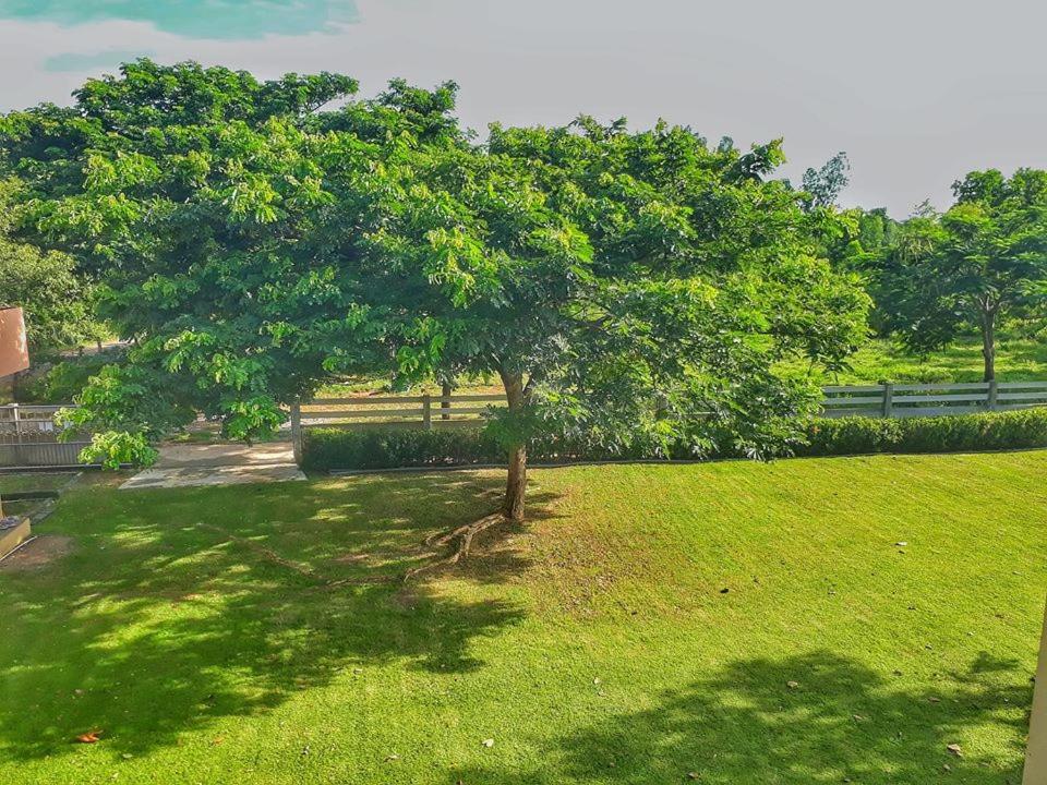 Villa - Photo 7