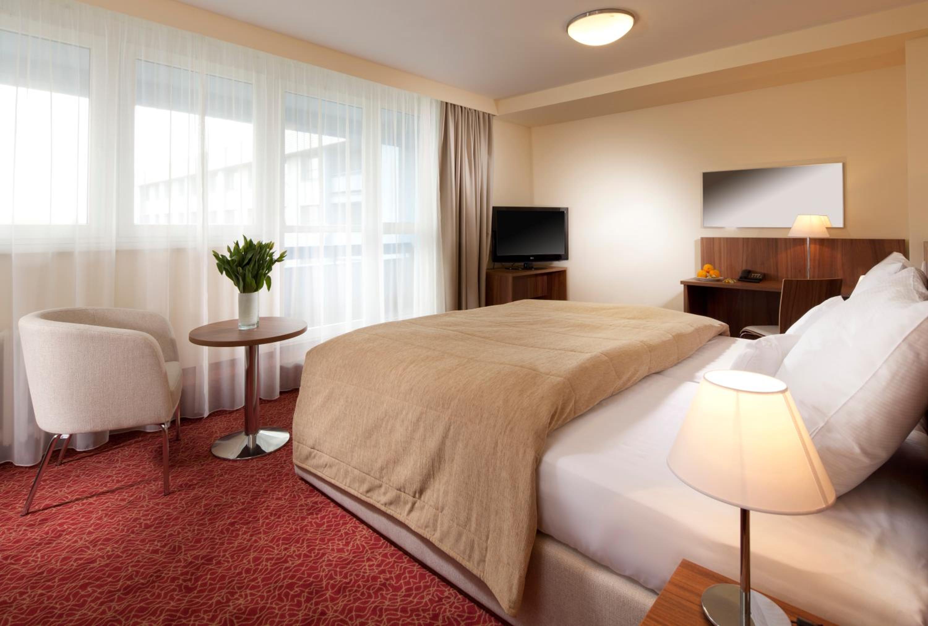 Suite - Photo 5