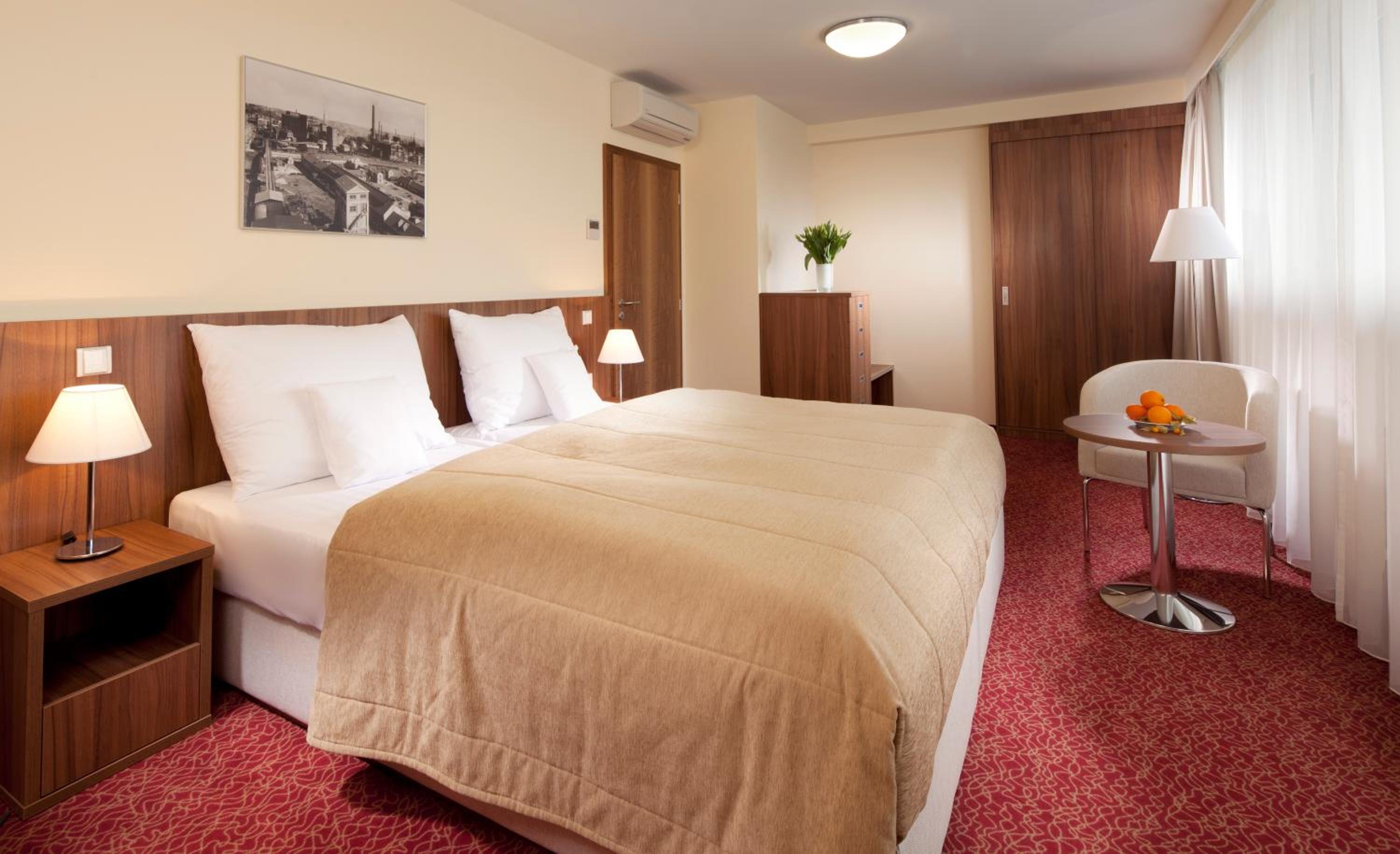 Suite - Photo 4