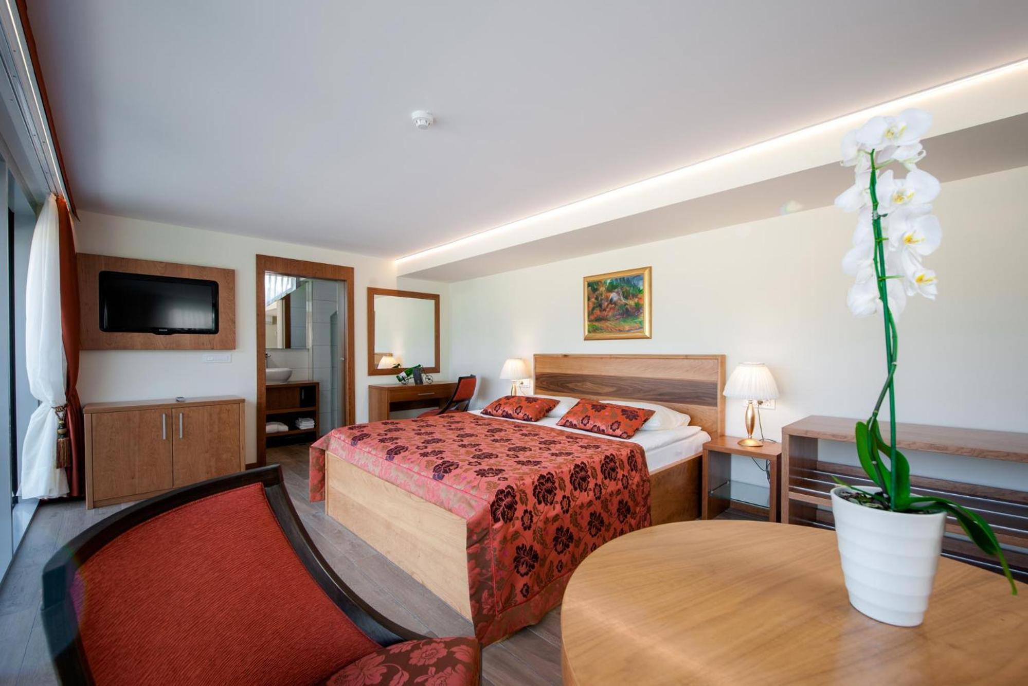 Superior Two-Bedroom Apartment with Terrace - Photo 3
