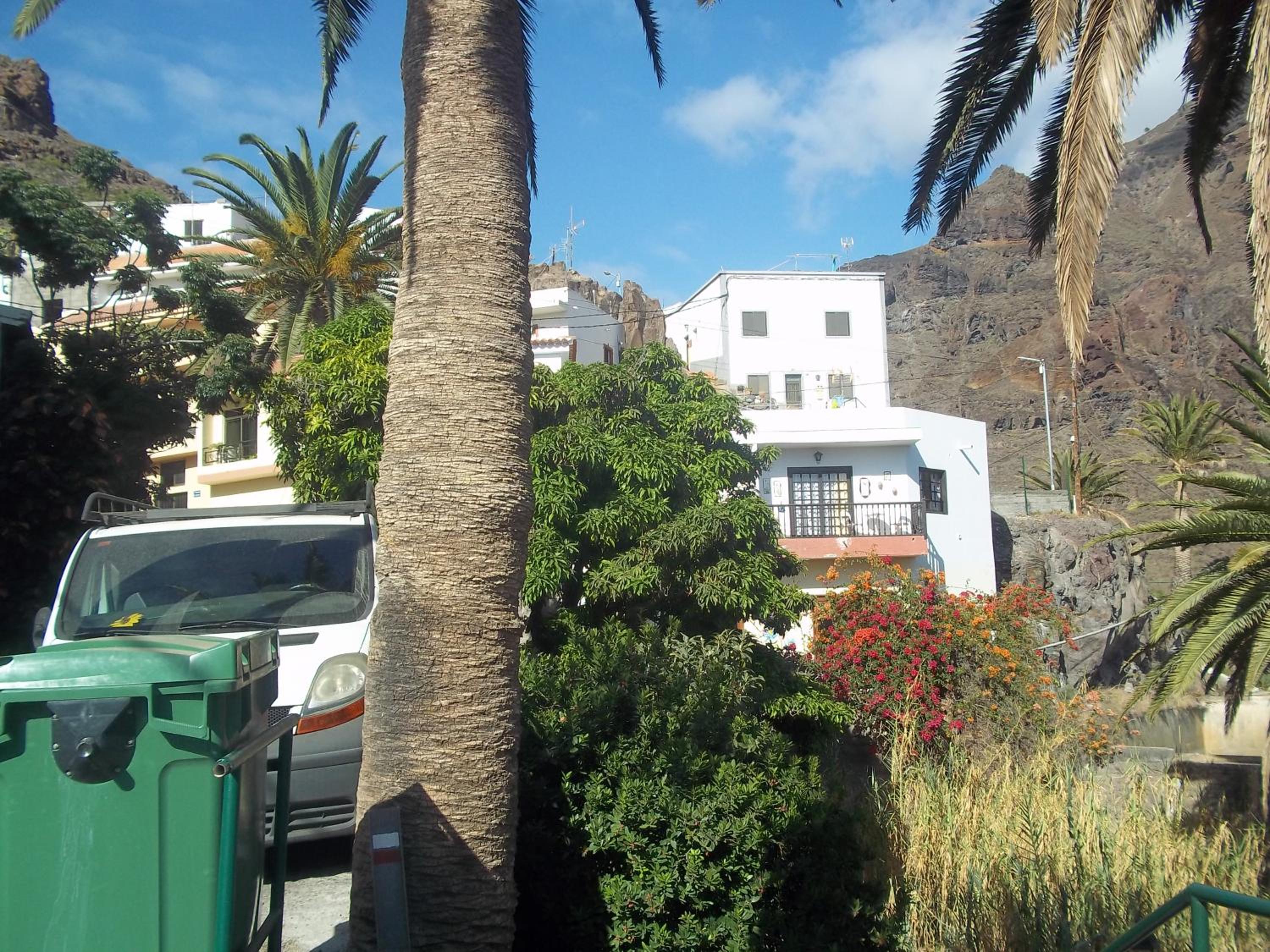 Apartment with Terrace photo 3