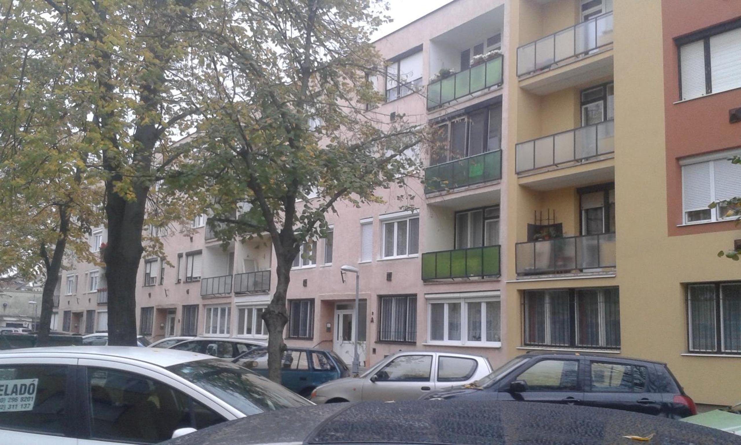 Apartment - Photo 5