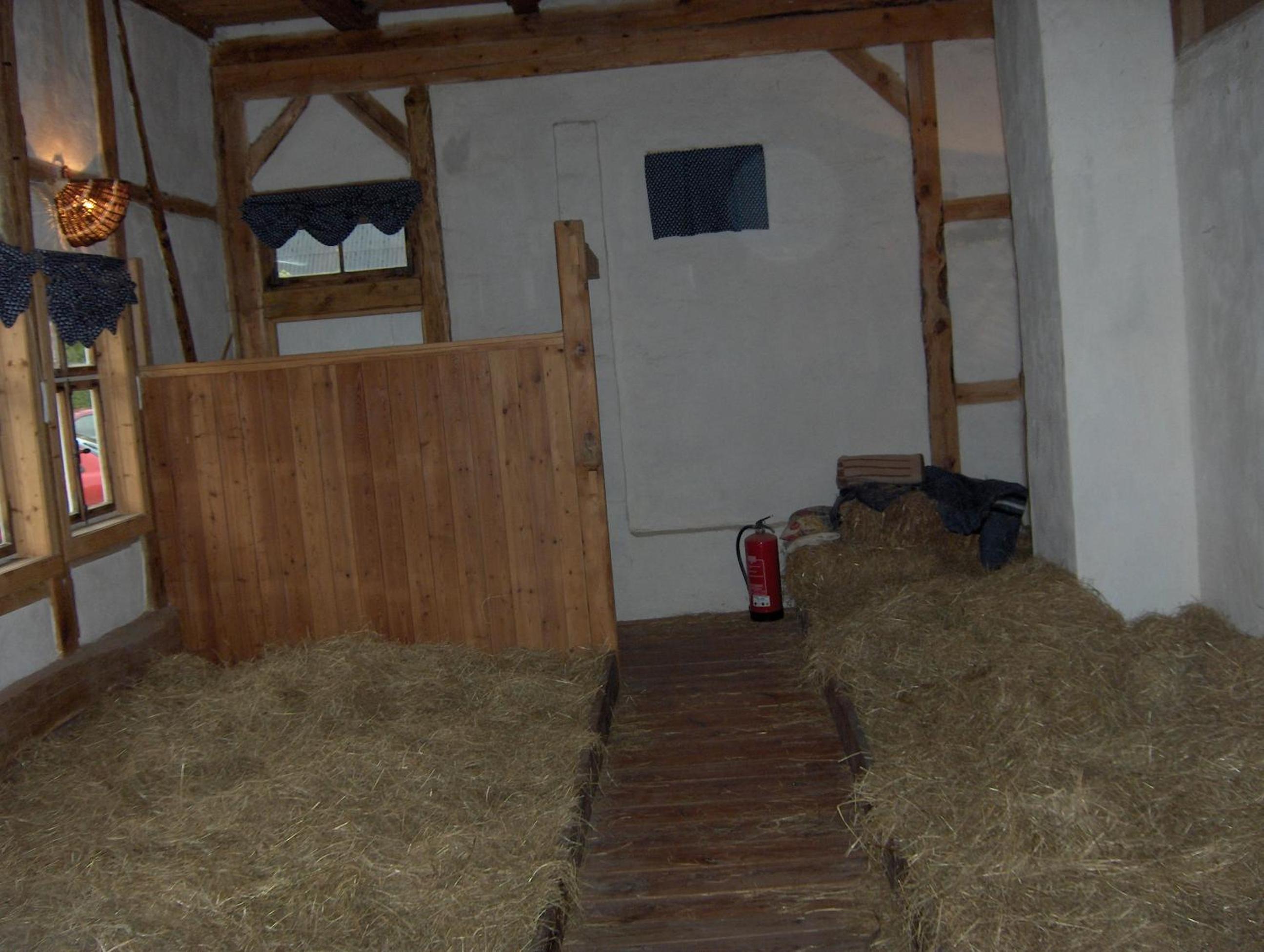 Single Bed in Mixed Dormitory Room photo 1