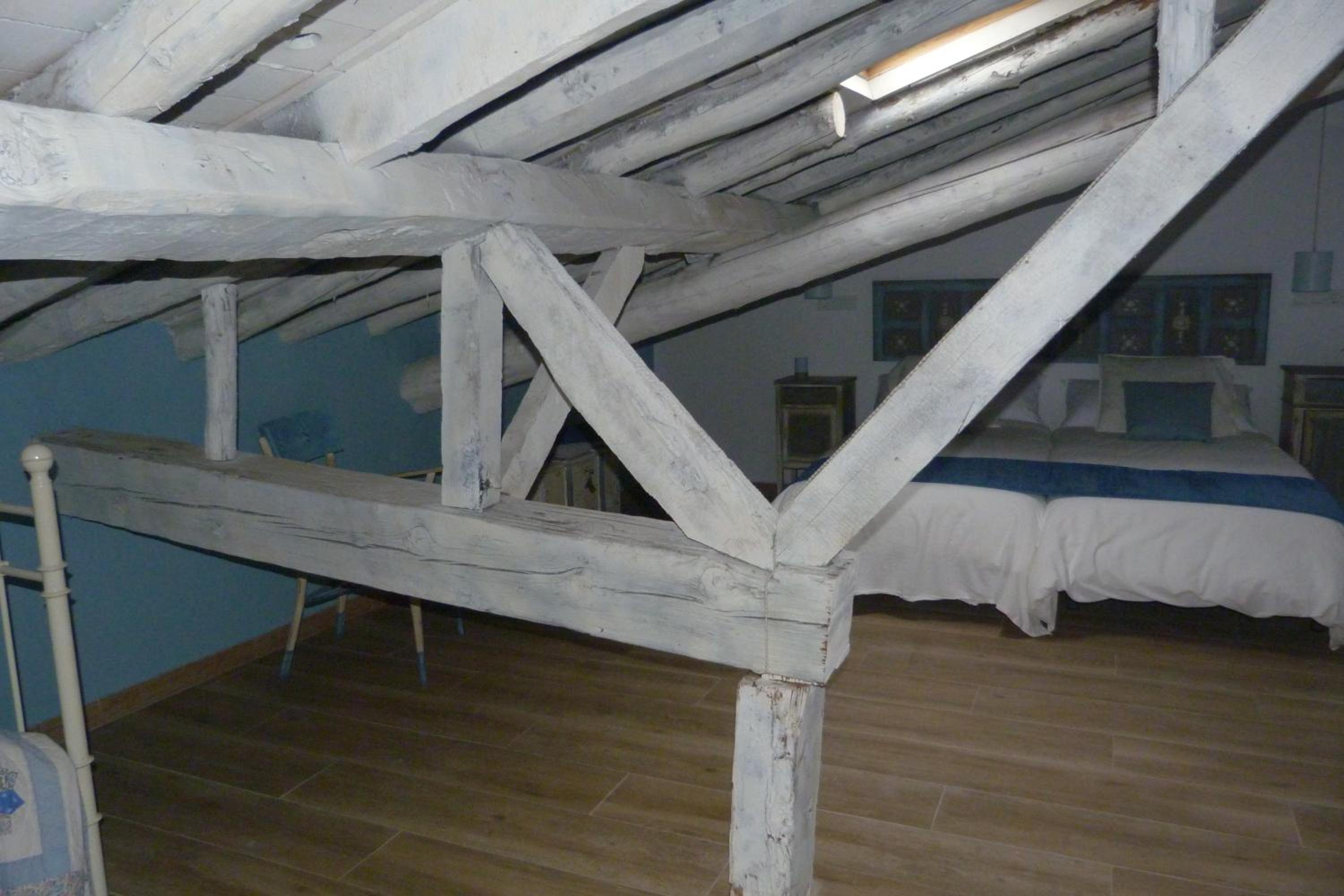 Family Suite photo 3