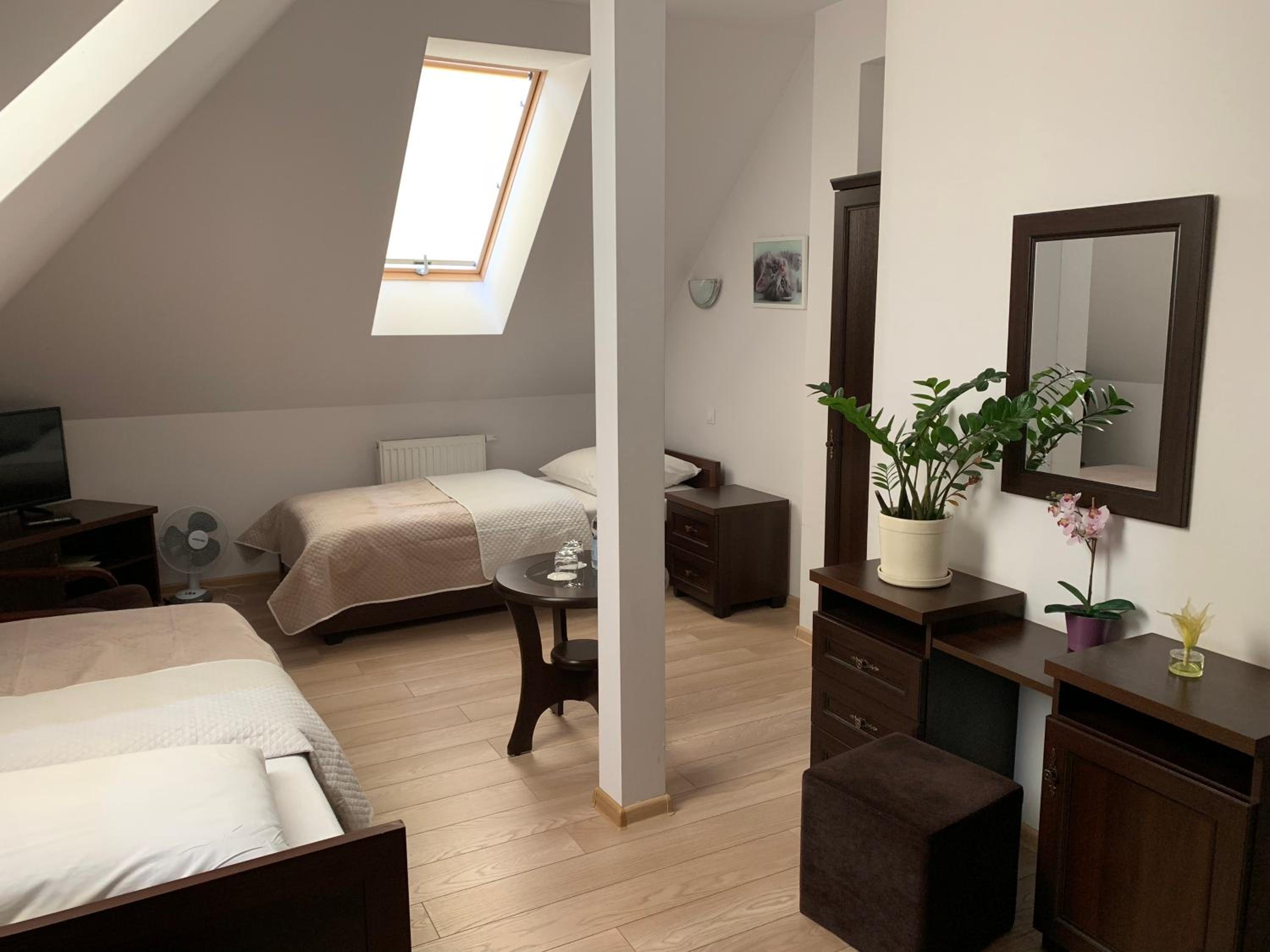 Twin Room photo 1