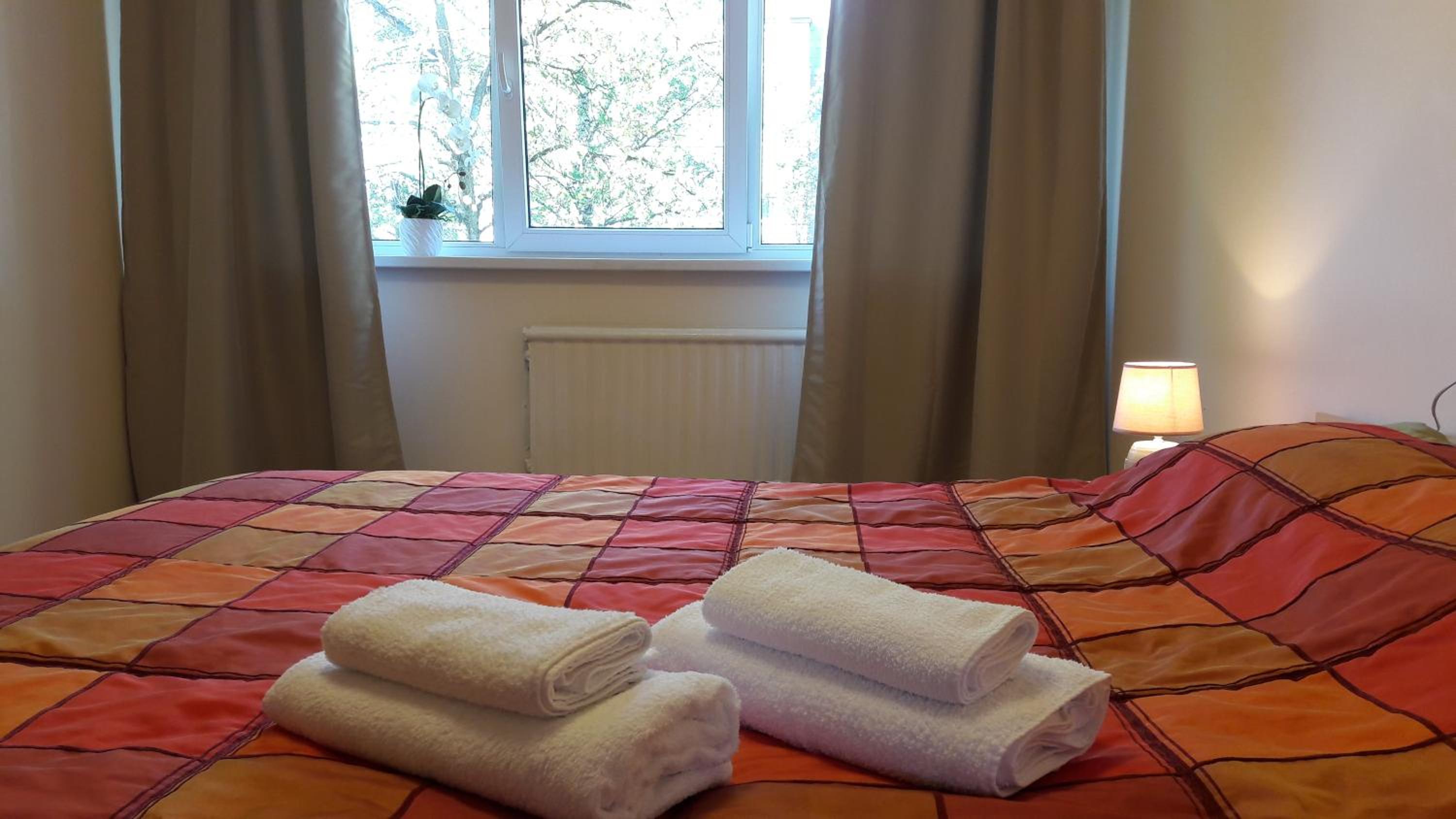 Apartment - Photo 9