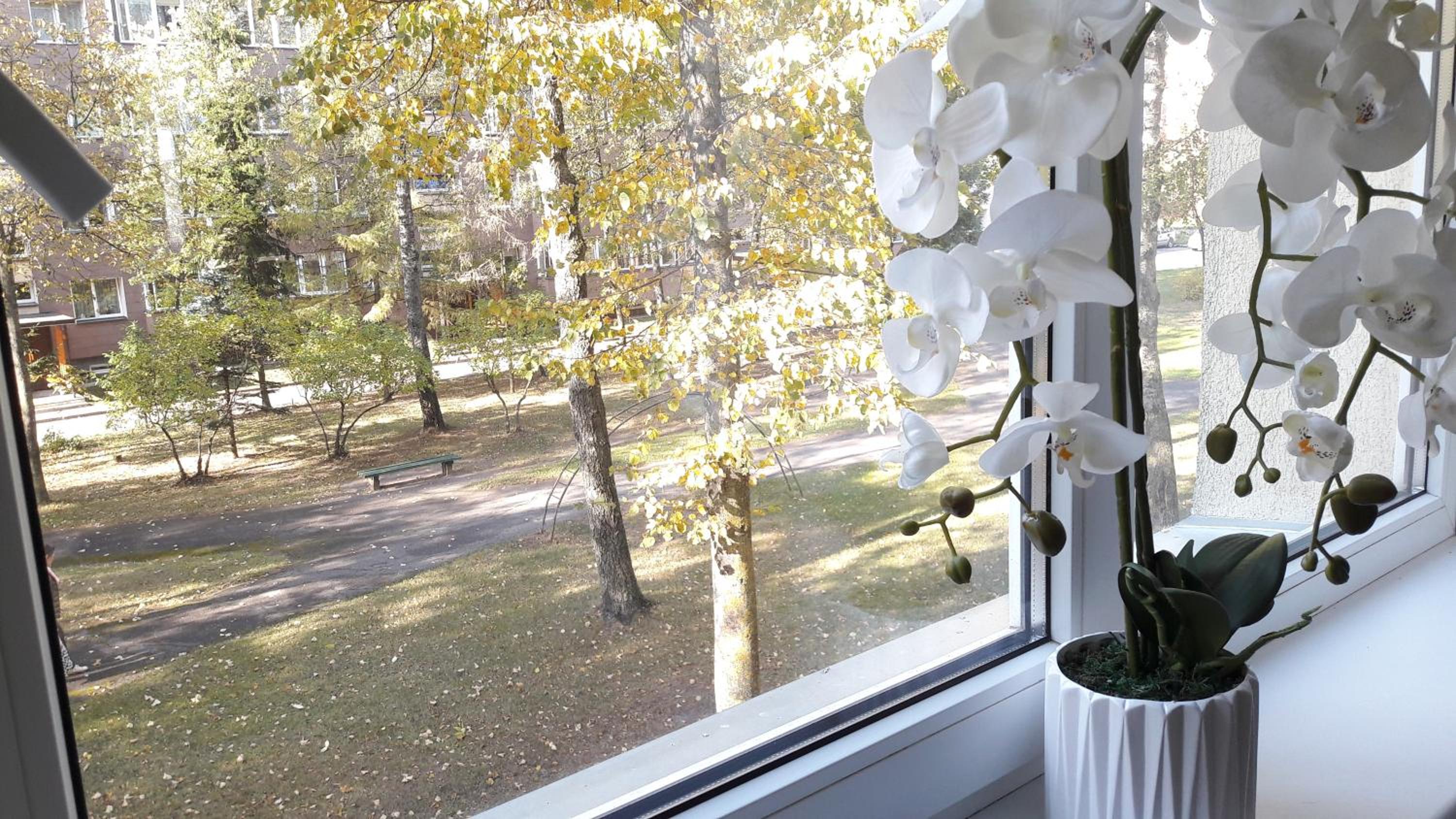 Apartment - Photo 10