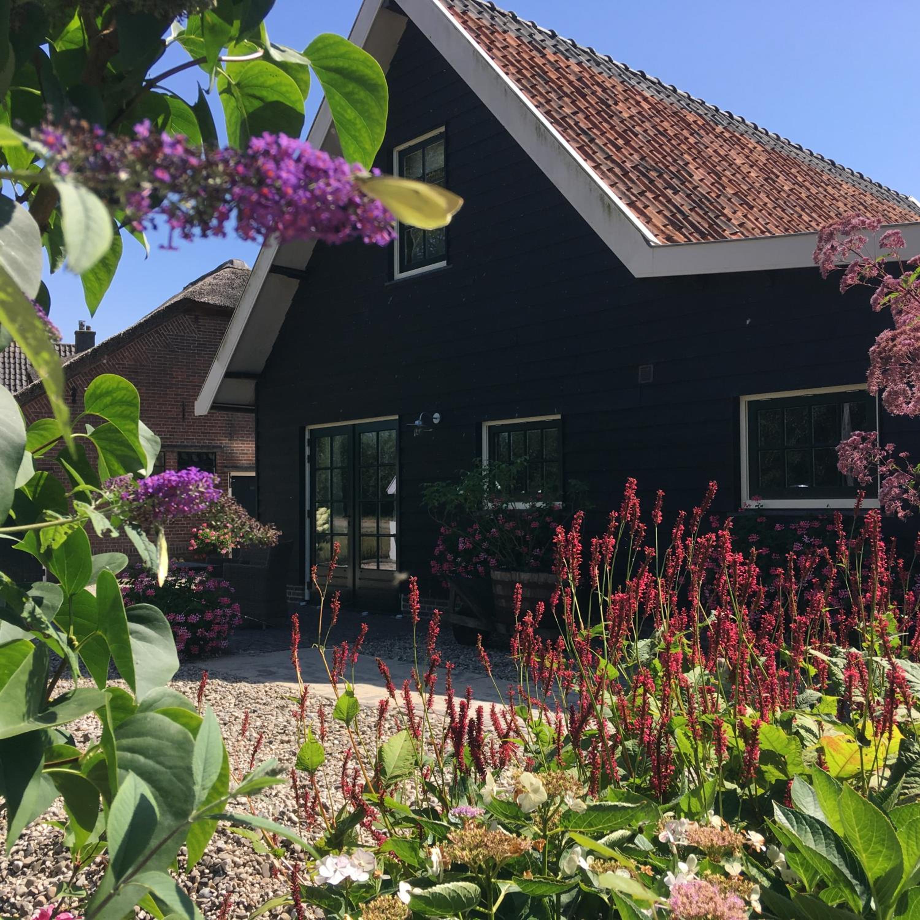 Boerderij Honswijck, Billede 2