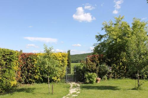 Apartment with Garden View