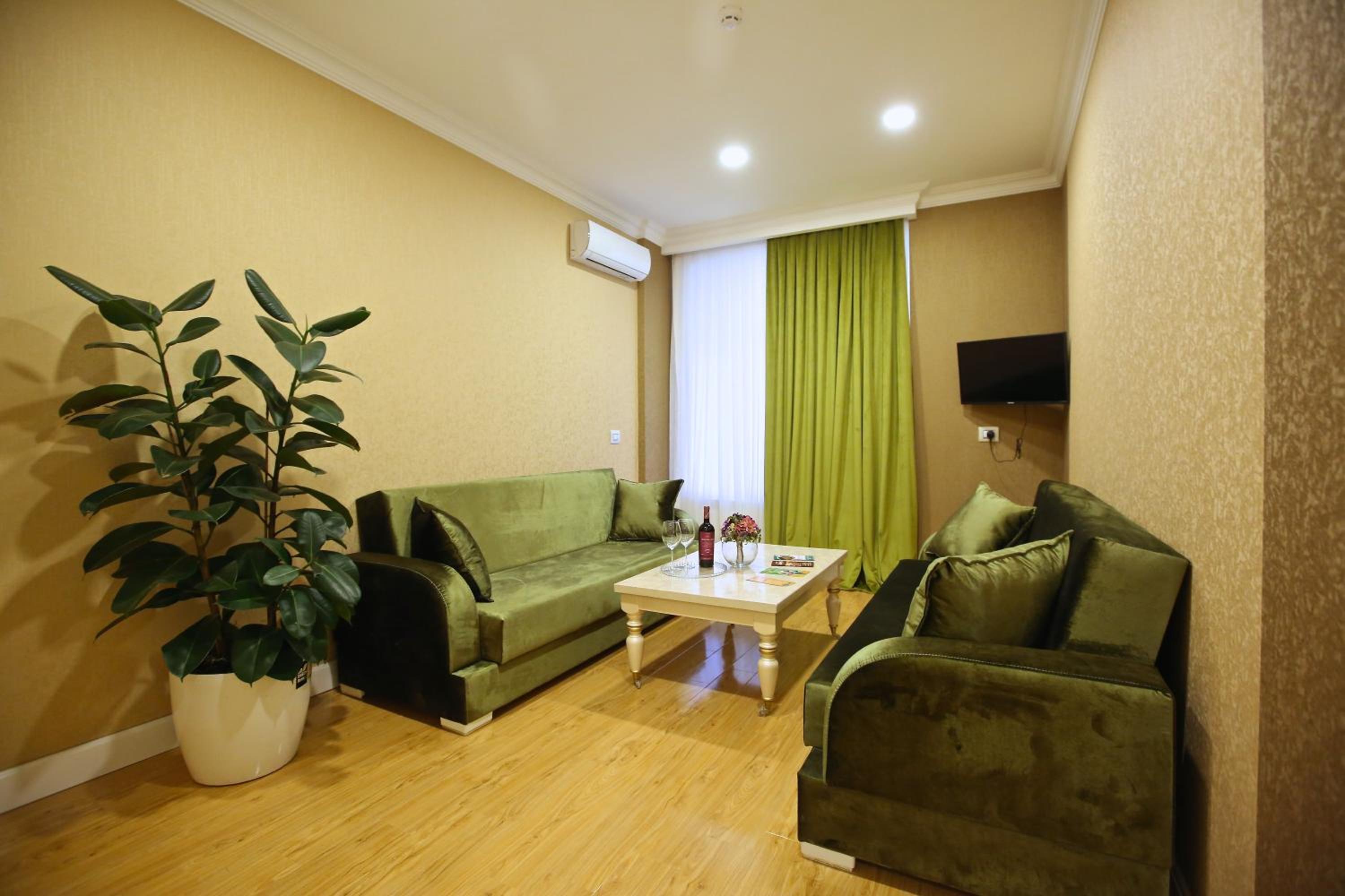 One-Bedroom Apartment photo 3