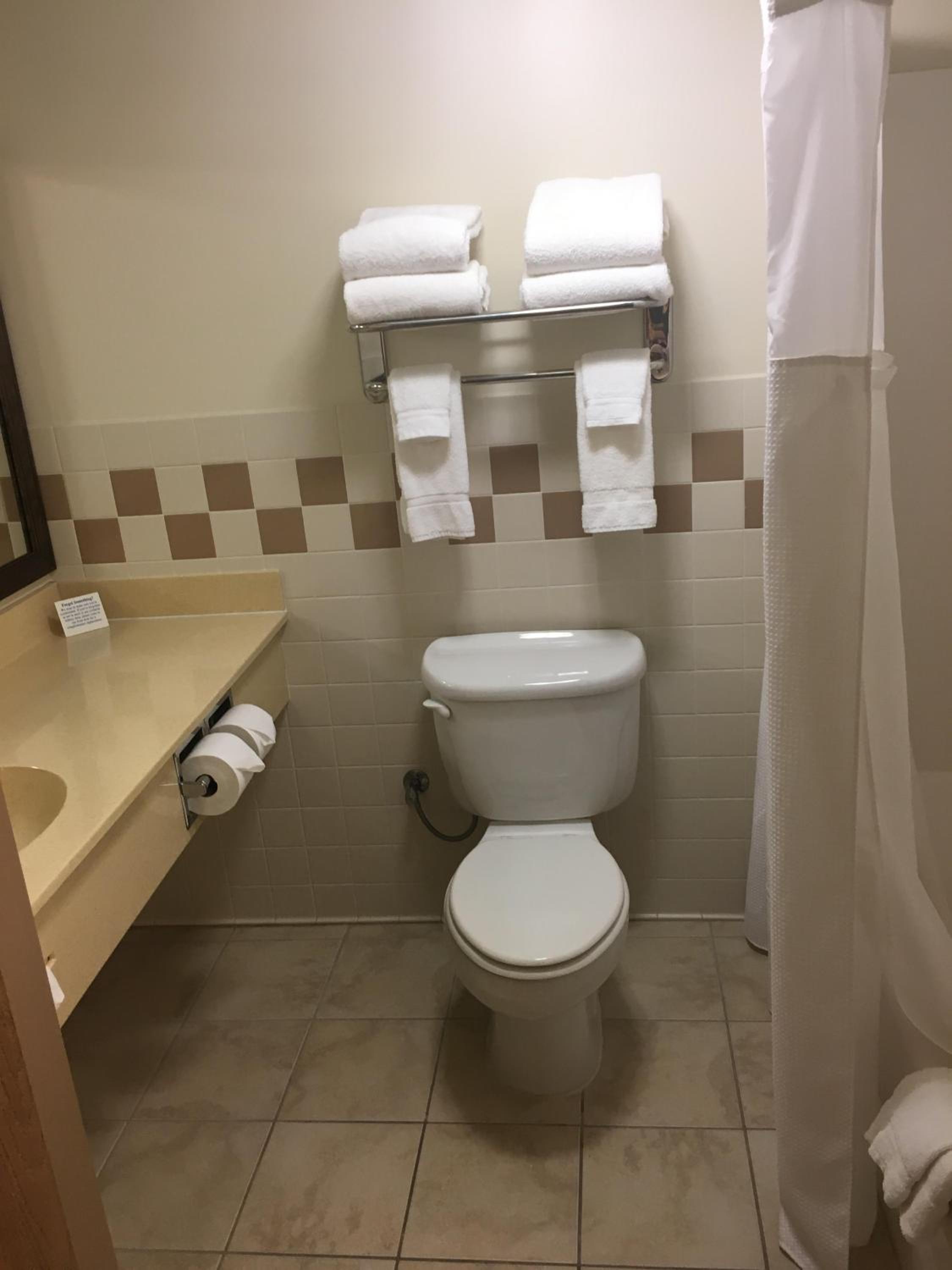 Premier King Studio Suite with Jetted Tub - Non-Smoking - Photo 3