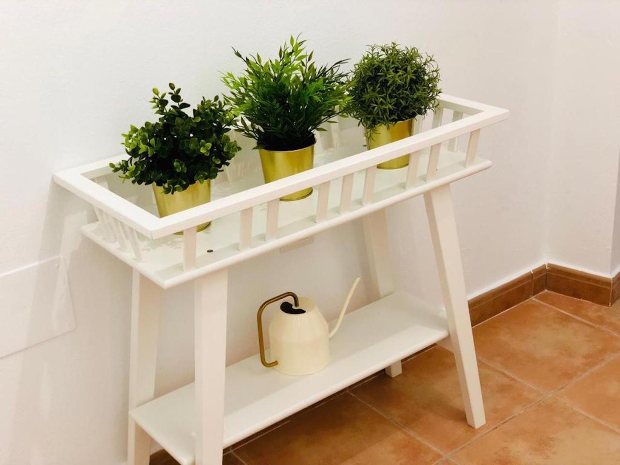 Apartment - Ground Floor - Photo 9