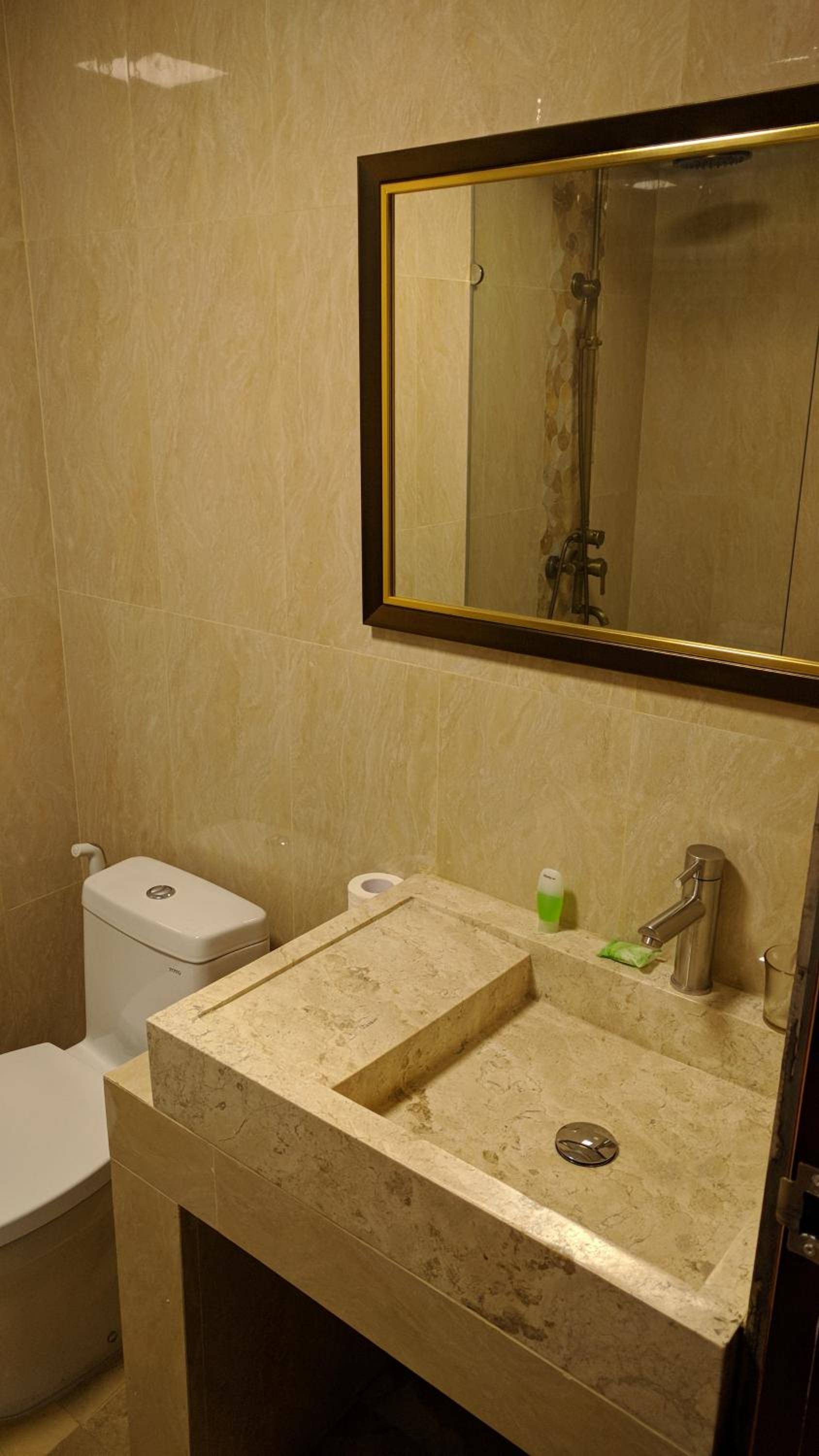 Deluxe Double or Twin Room with Balcony photo 3