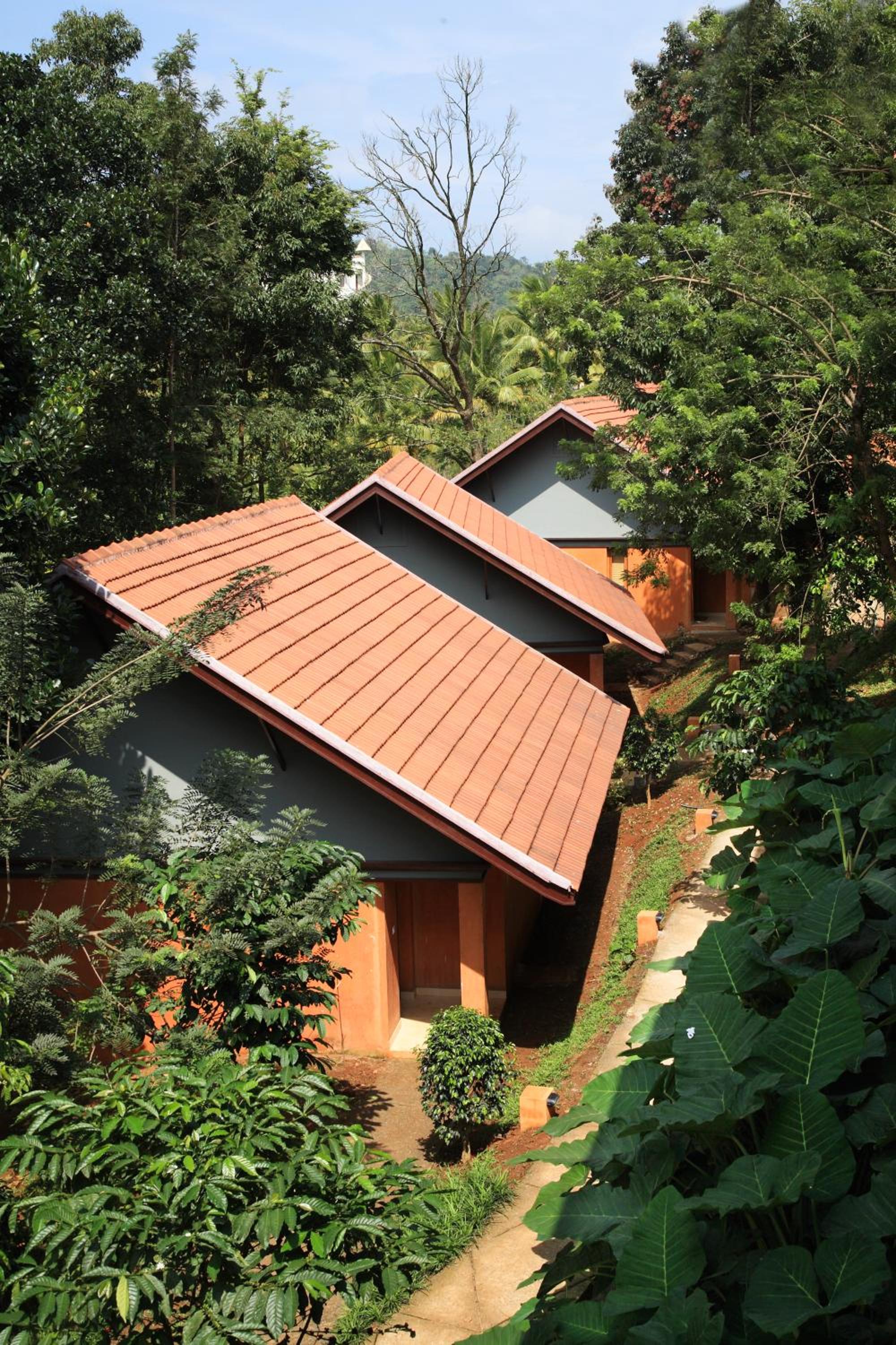 AC Jungle Cottage - Photo 5