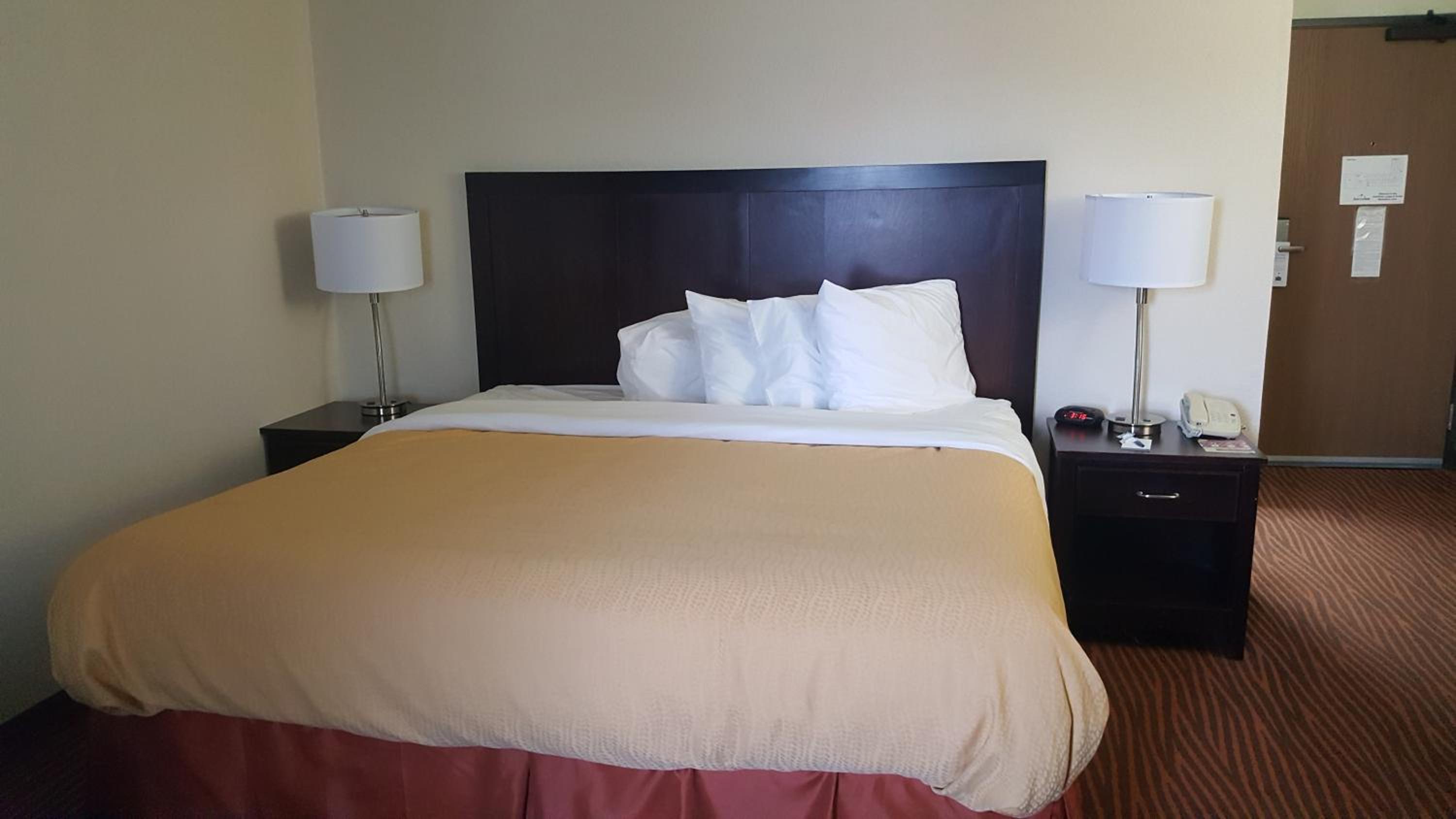 Deluxe King Studio Suite - Non-Smoking - Photo 4
