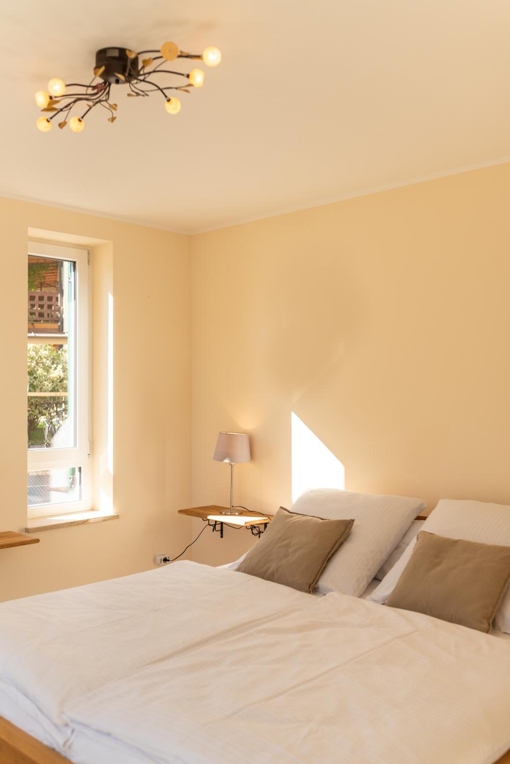 Apartment with Terrace photo 3