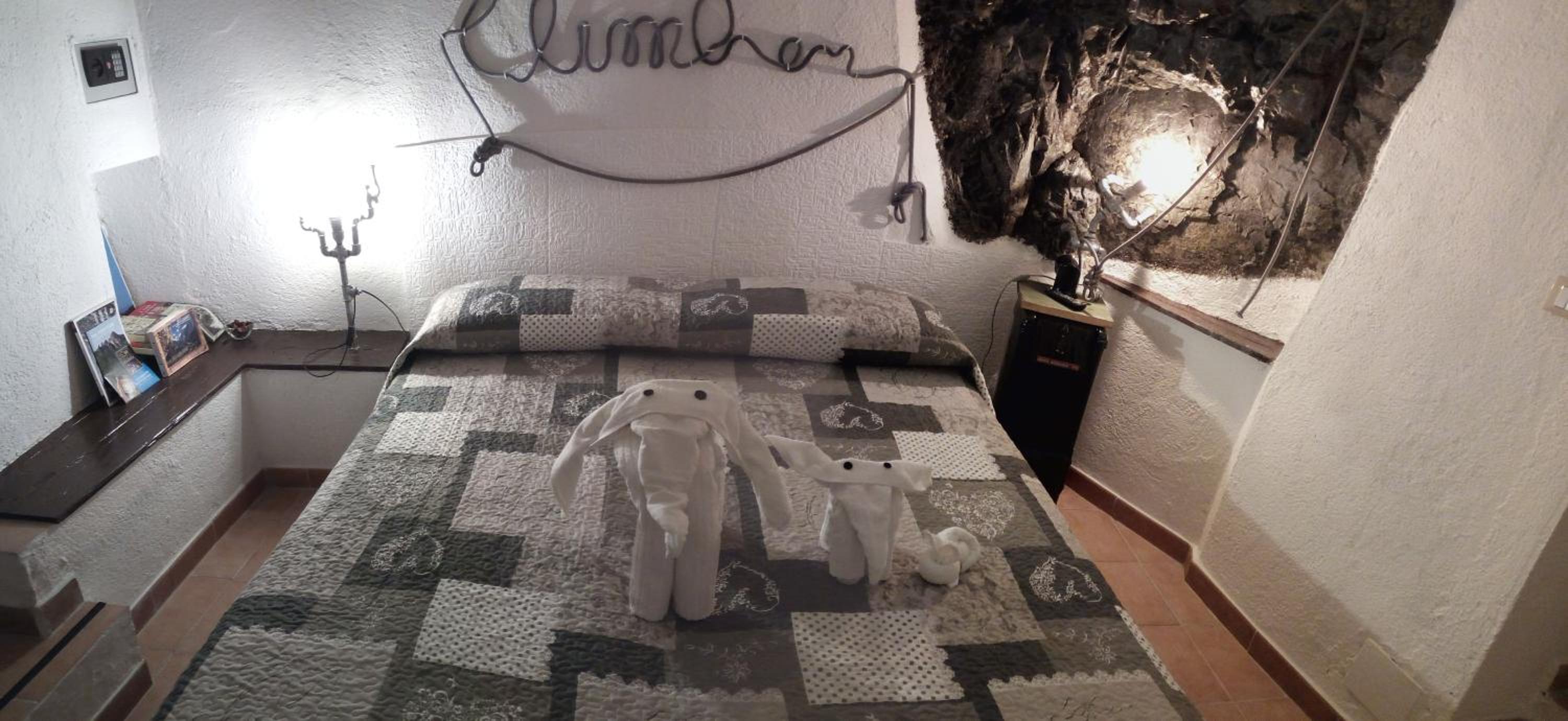 Large Double or Twin Room photo 1