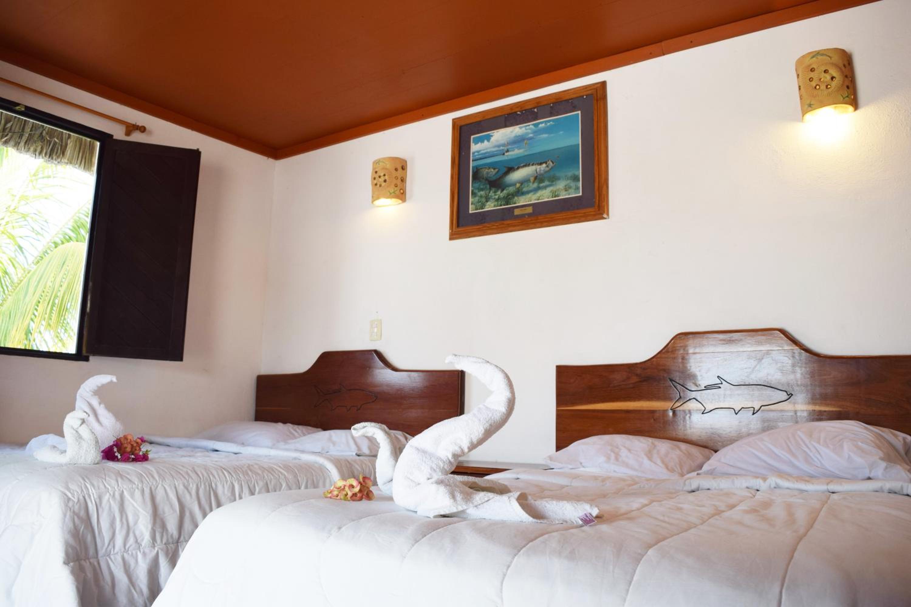 Standard Twin Room photo 1