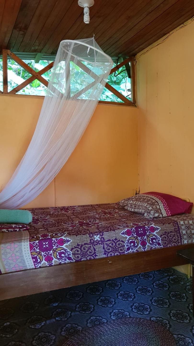 Budget Single Room photo 2