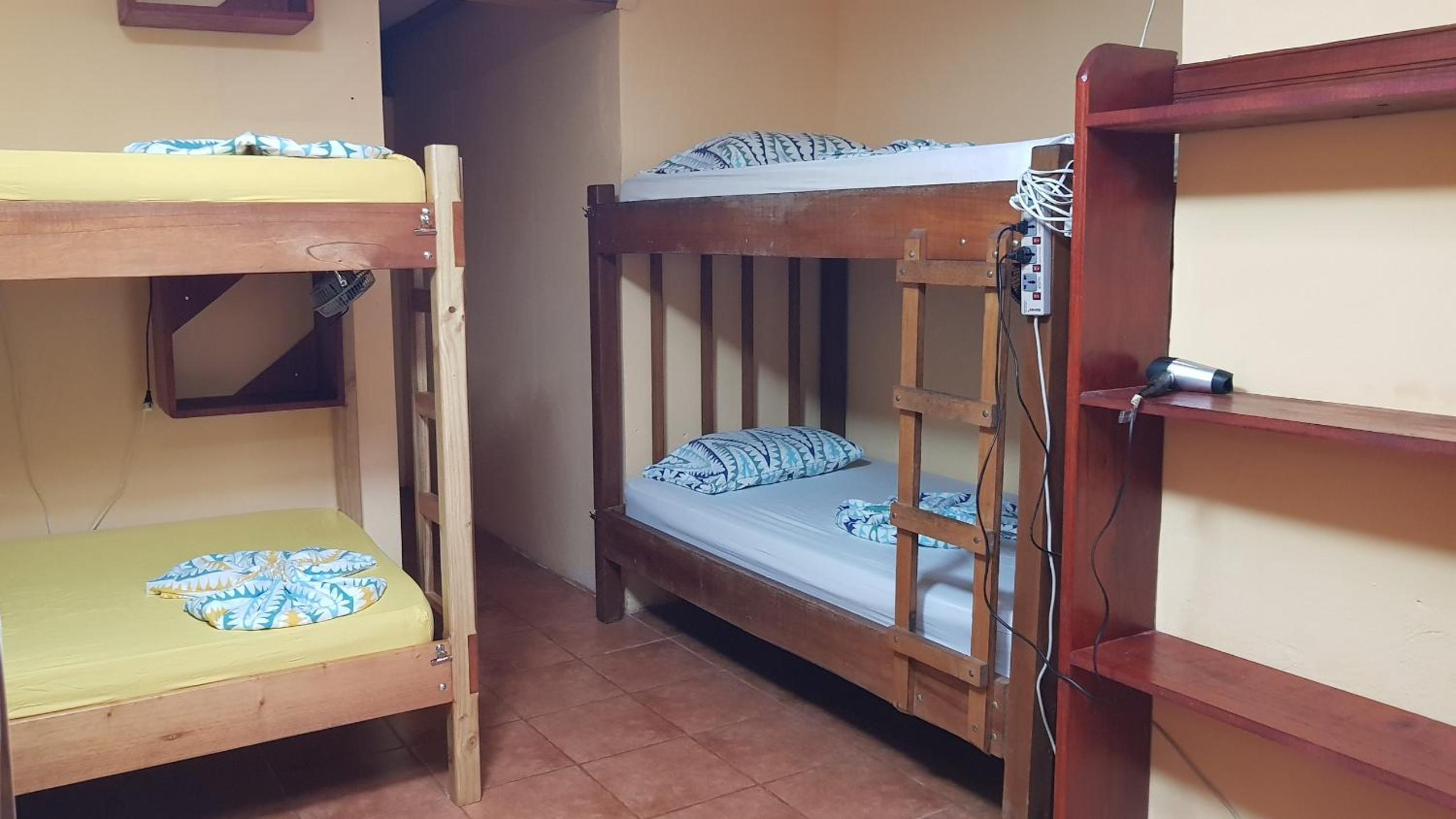 Bed in 6-Bed Mixed Dormitory Room photo 1