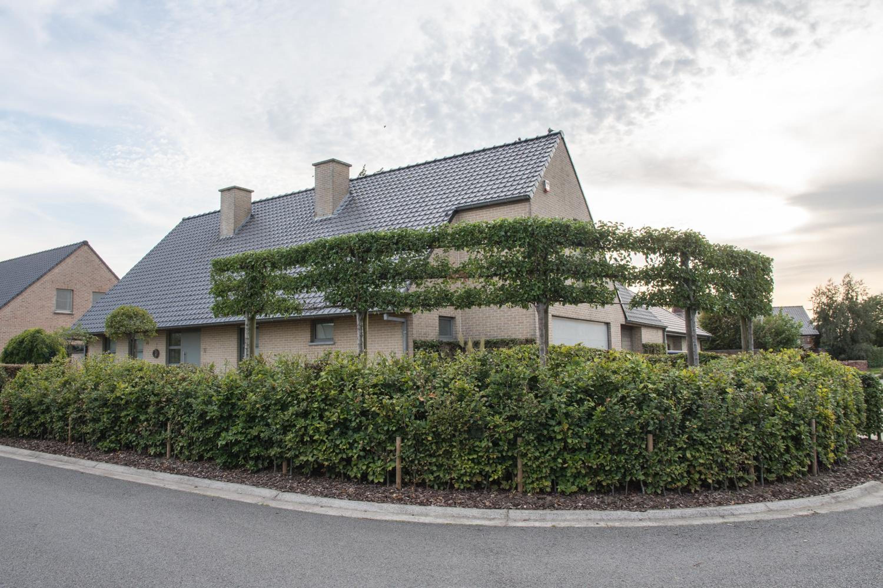 Villa photo 1