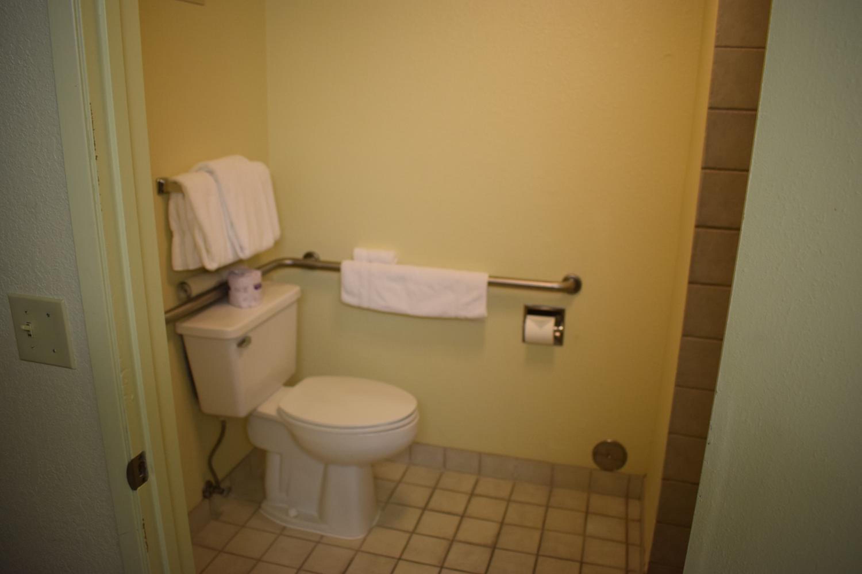King Room with River View - Mobility Access/Non-Smoking - Photo 4