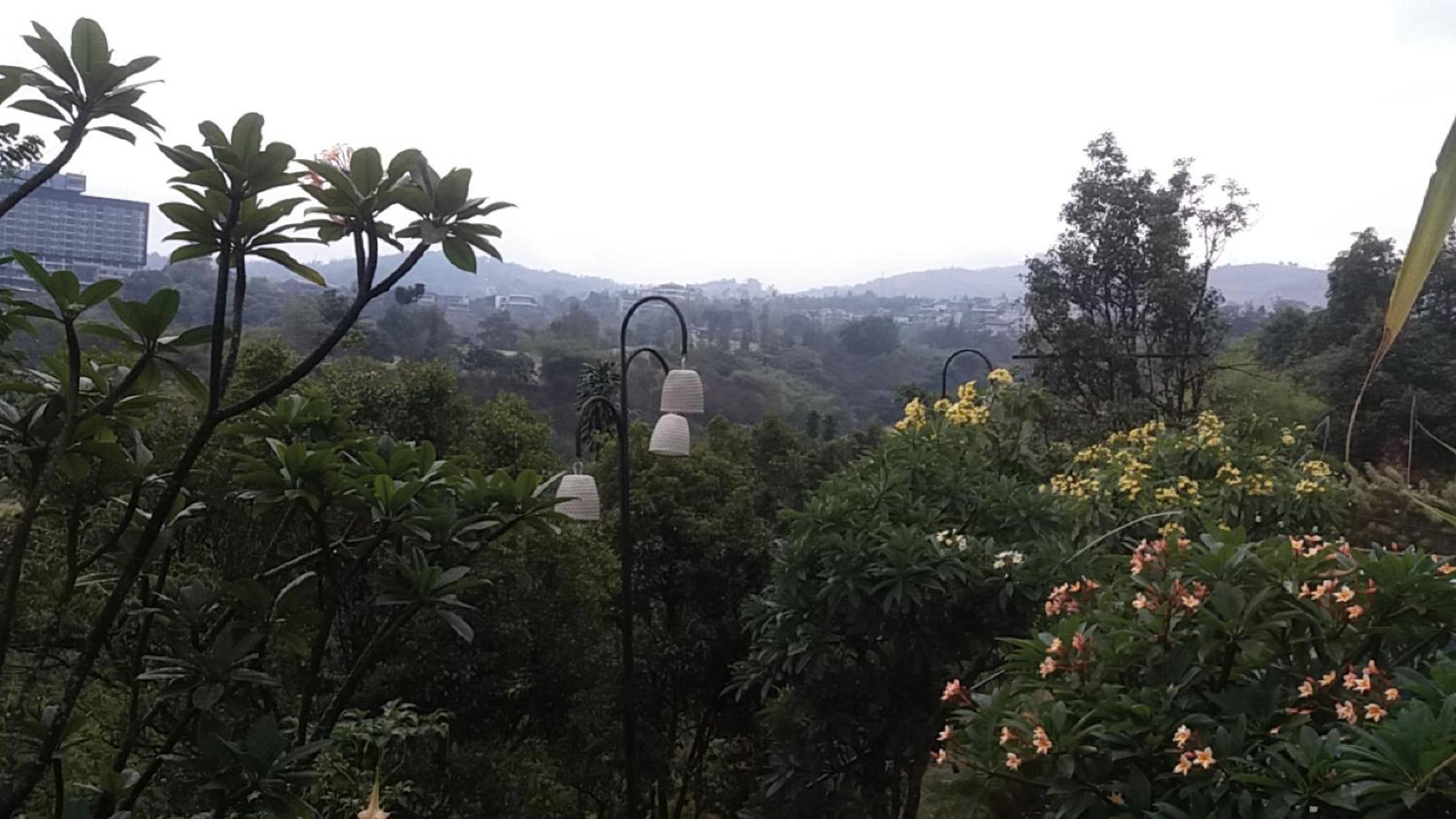 Apartment with Mountain View - Photo 3