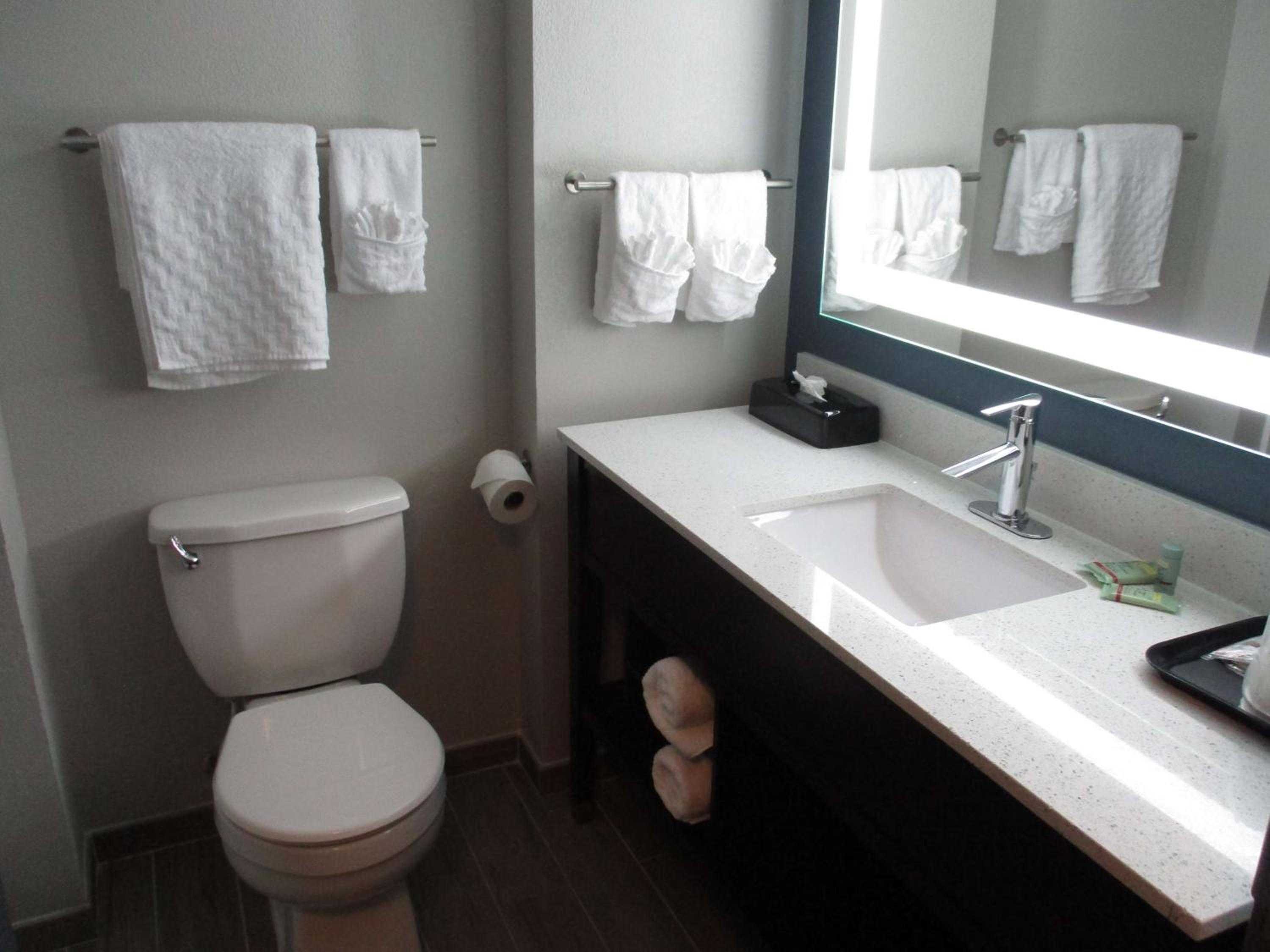King Room with Walk-In Shower - Mobility Access - Photo 2