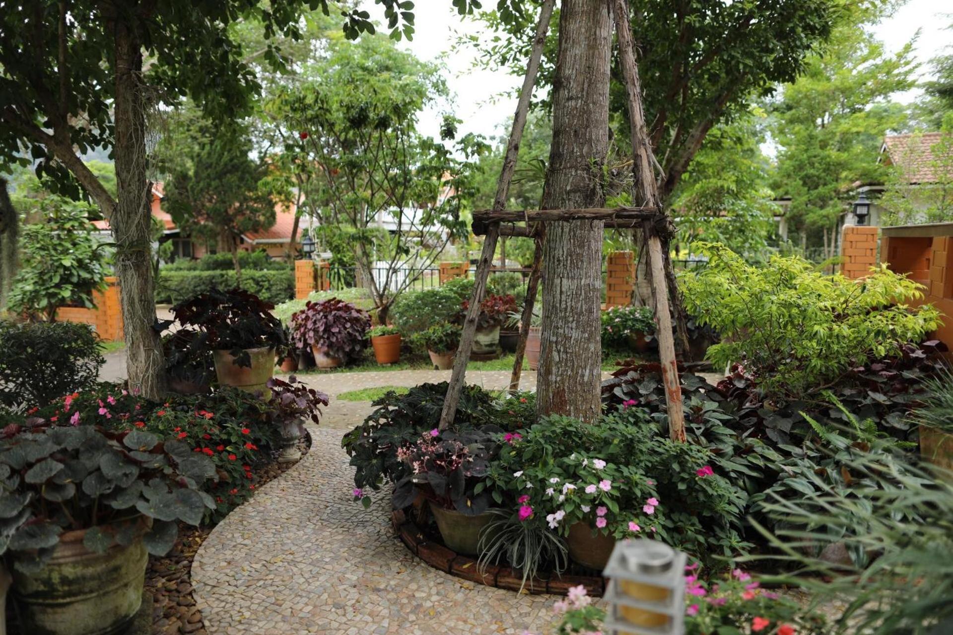 Superior Villa photo 2