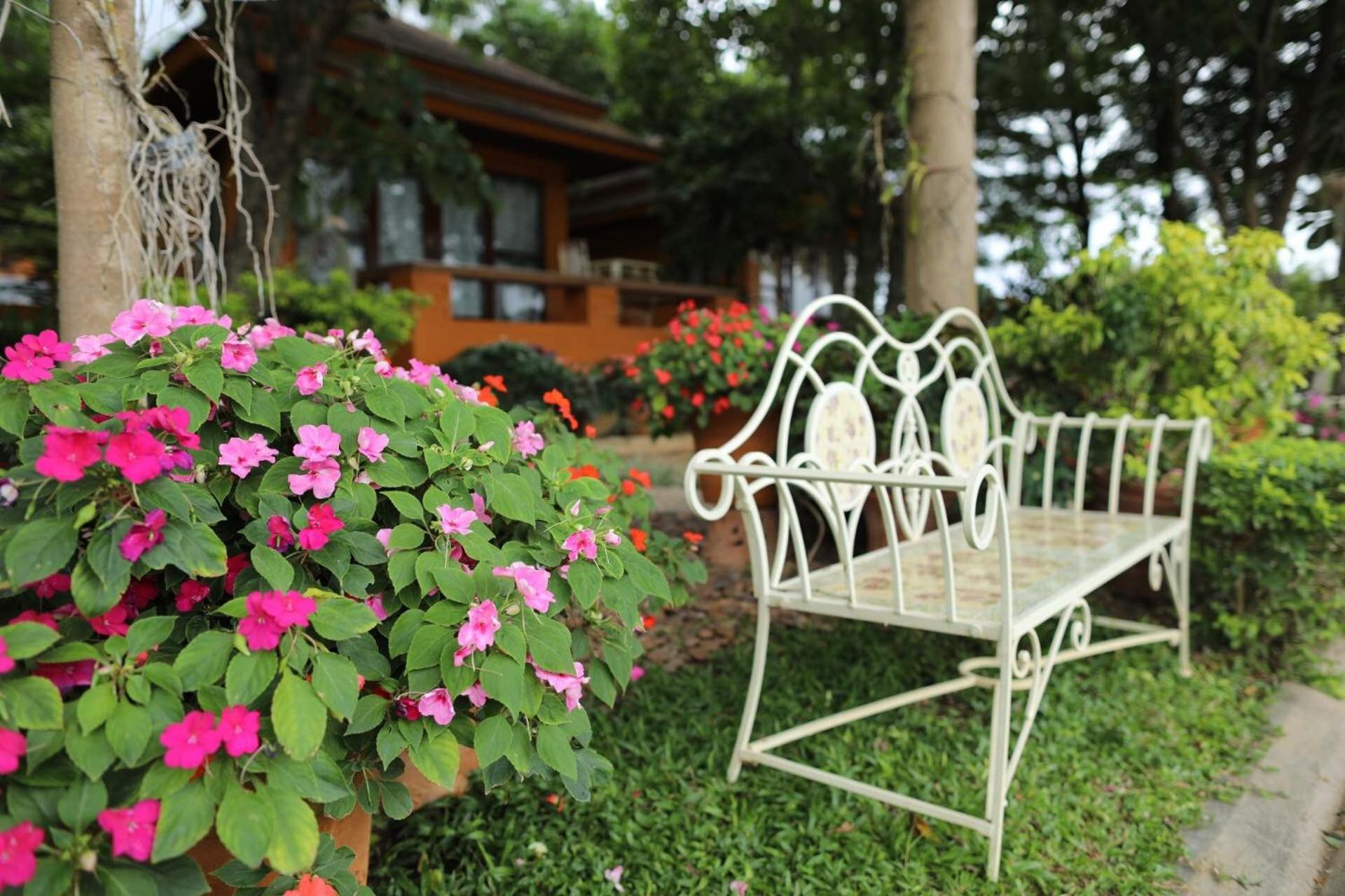 Superior Villa photo 3