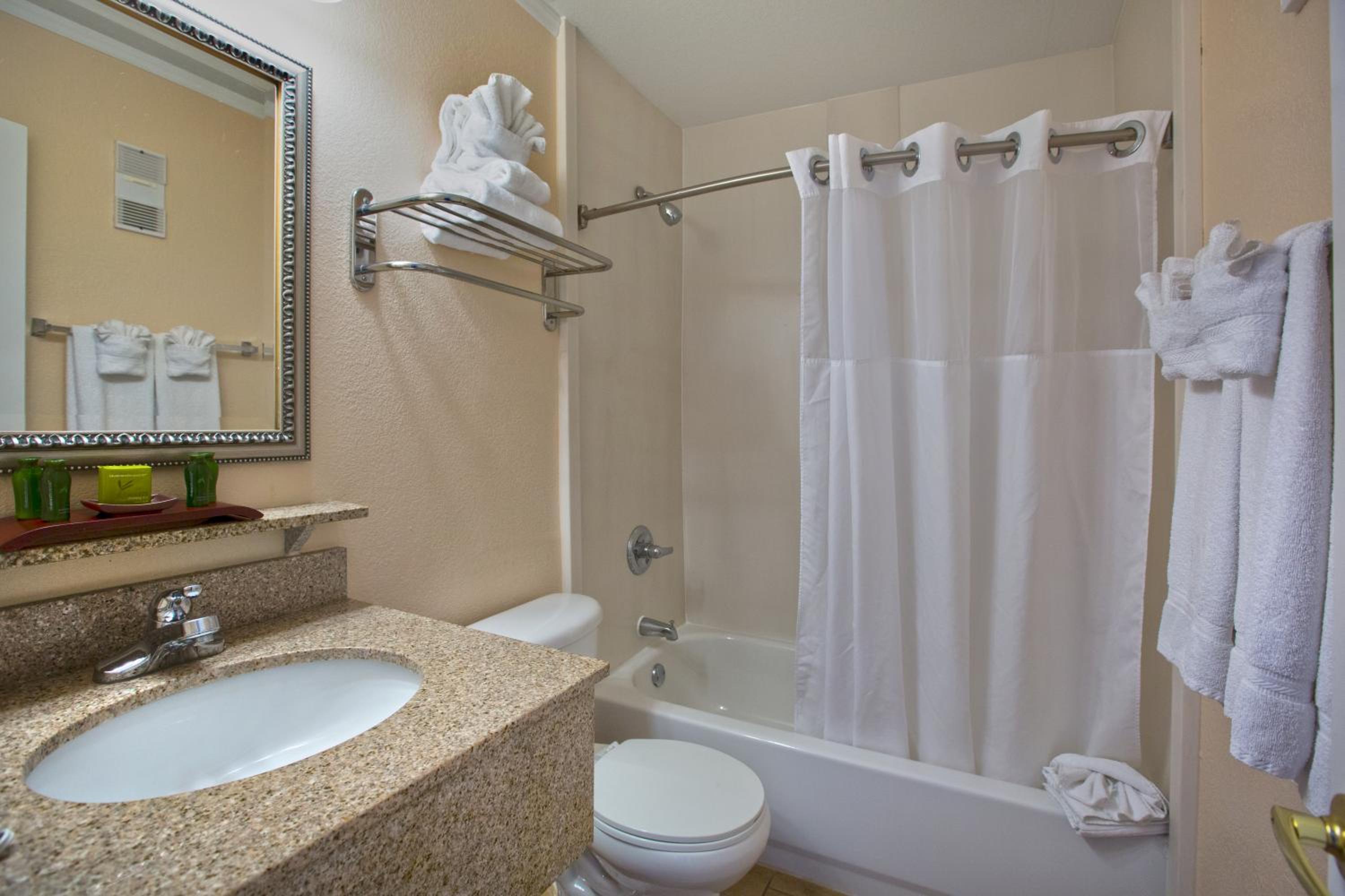 One-Bedroom Suite with Bay View - Photo 2