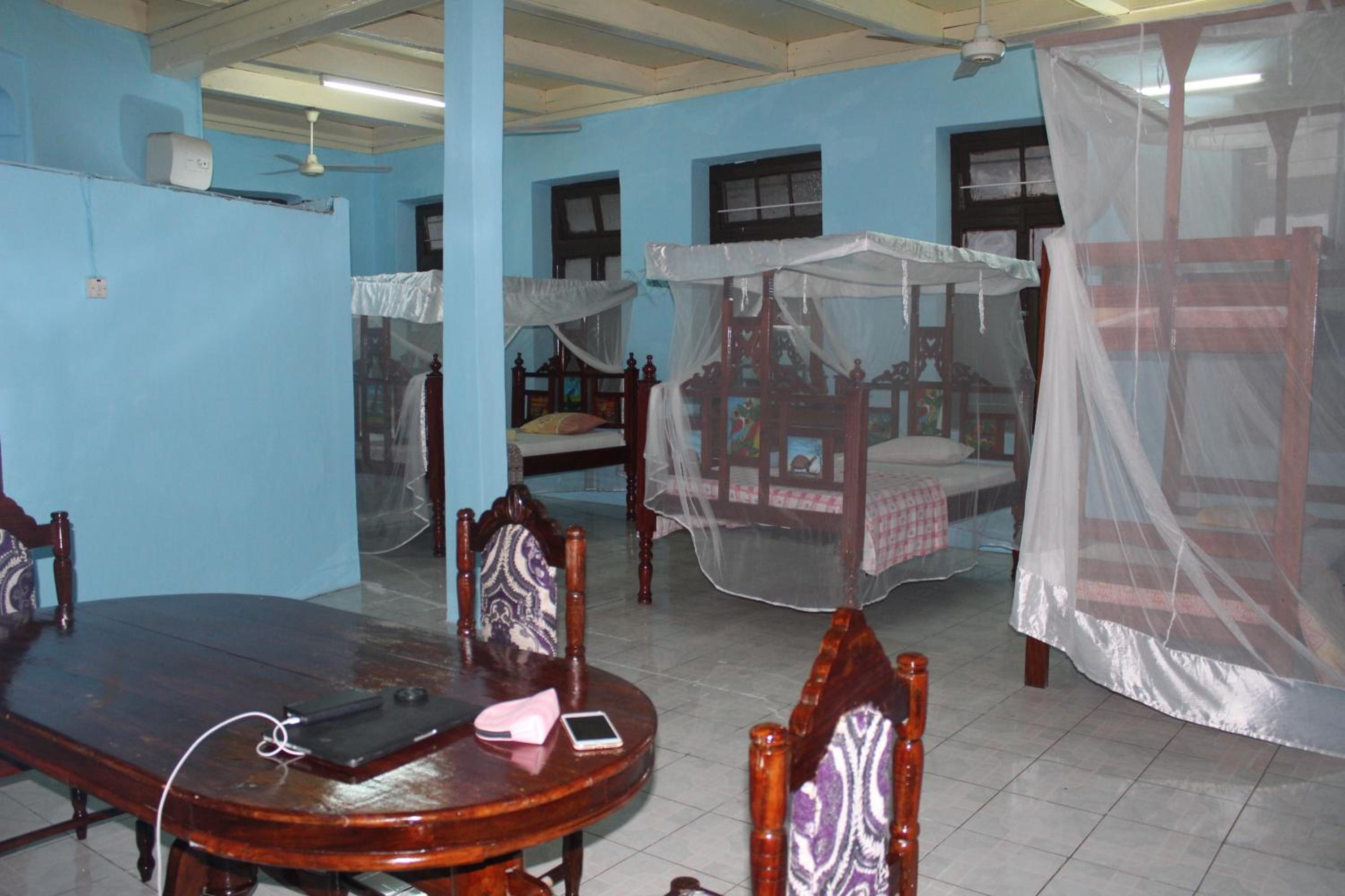 Single Bed in Mixed Dormitory Room photo 3