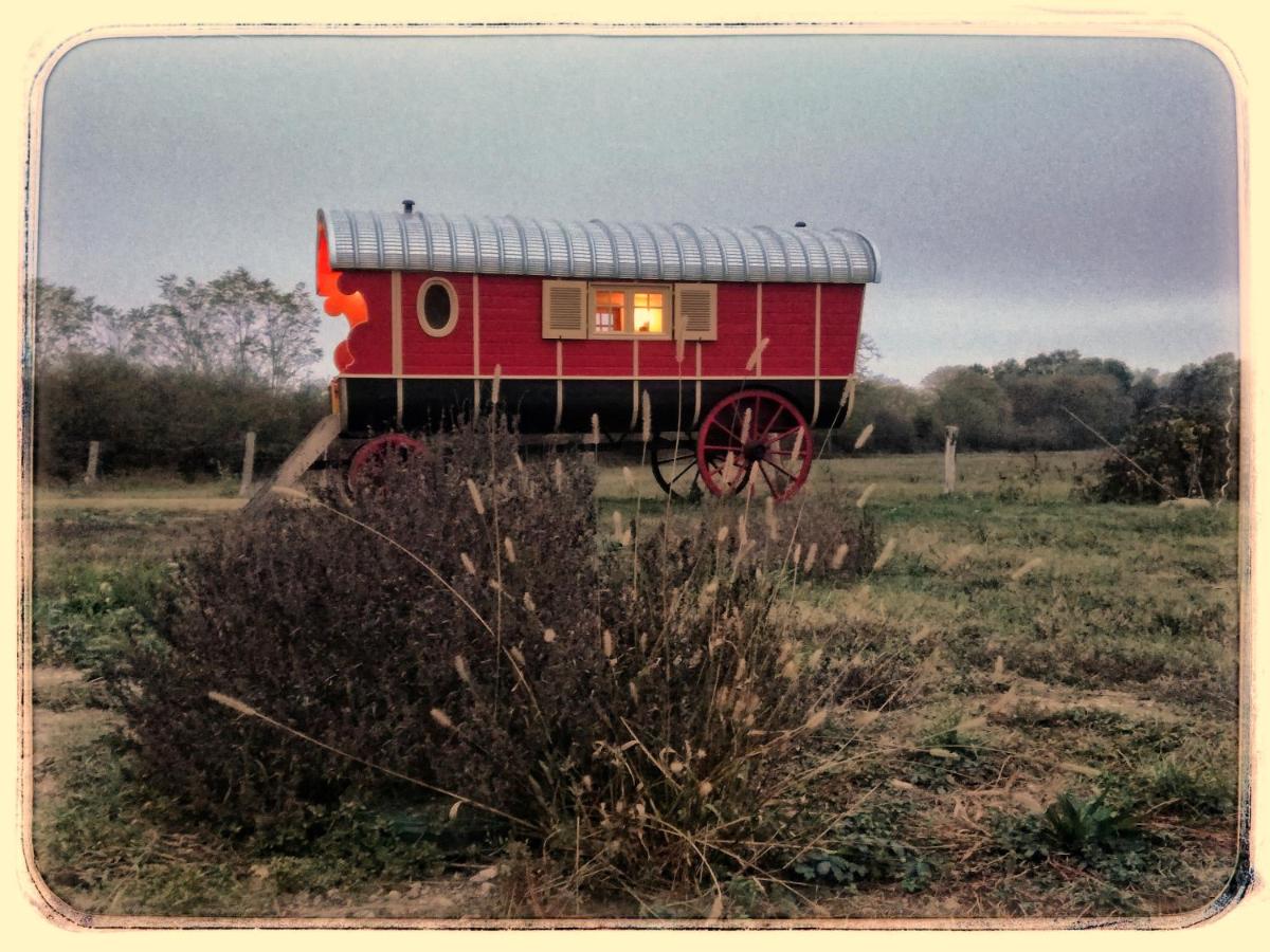 Wooden Caravan photo 1