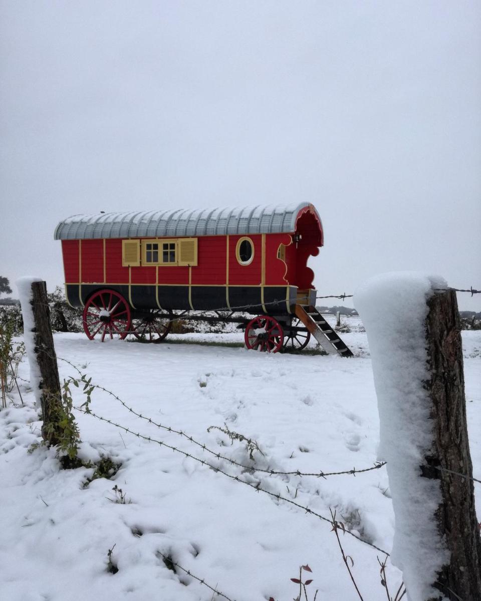 Wooden Caravan photo 2