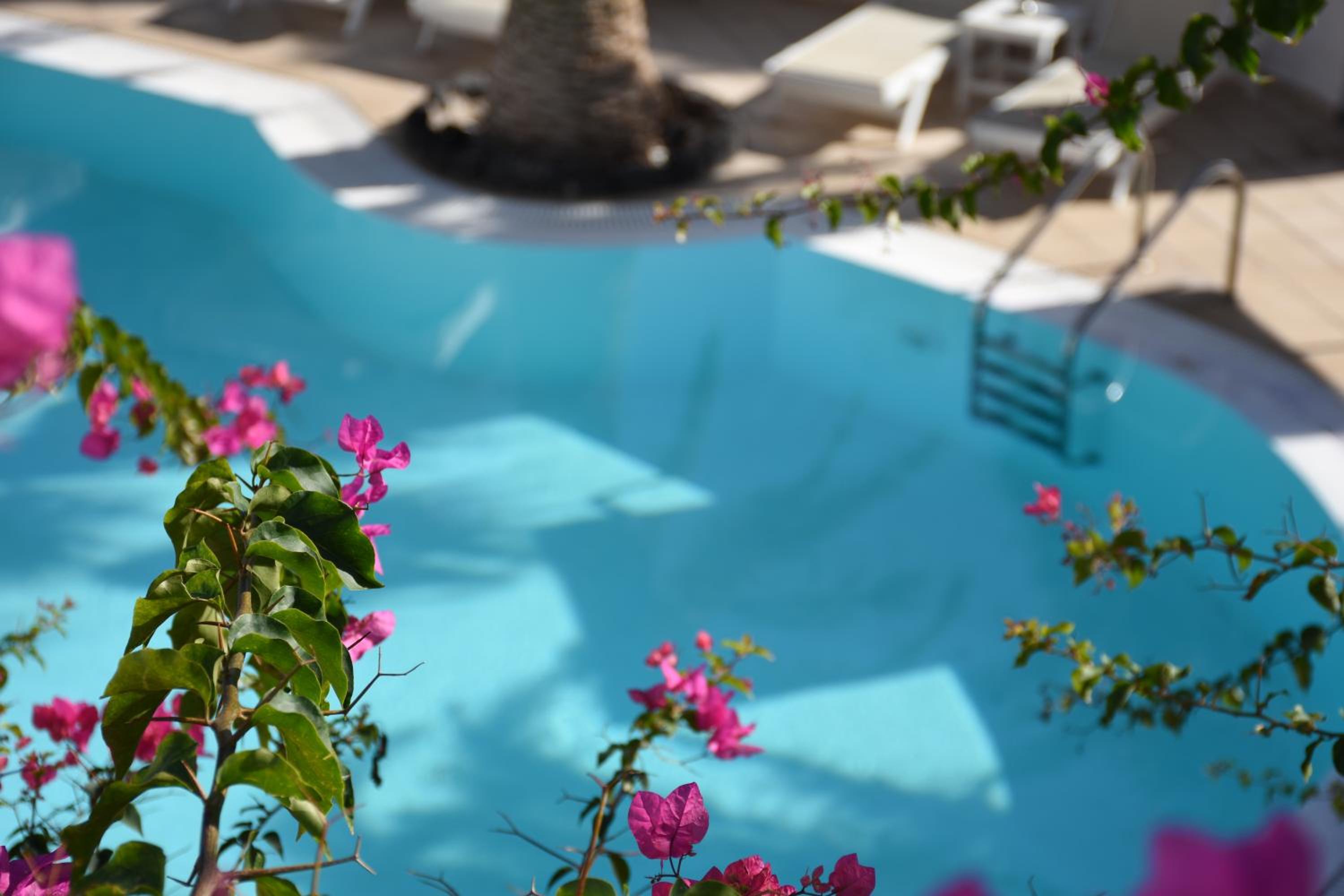 Double Room with Balcony and Sea View